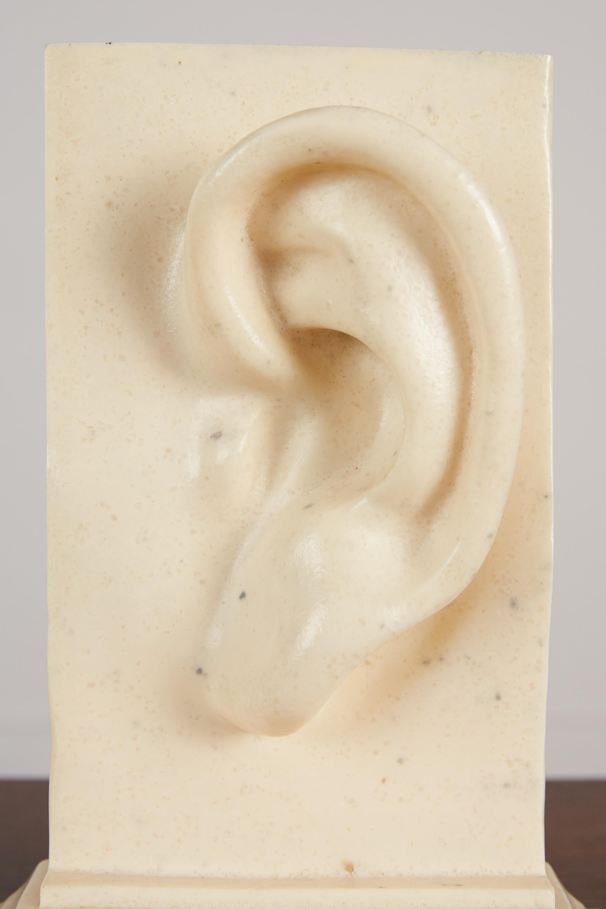 Resin Pair of Ear & Nose Bookends by C2C Designs