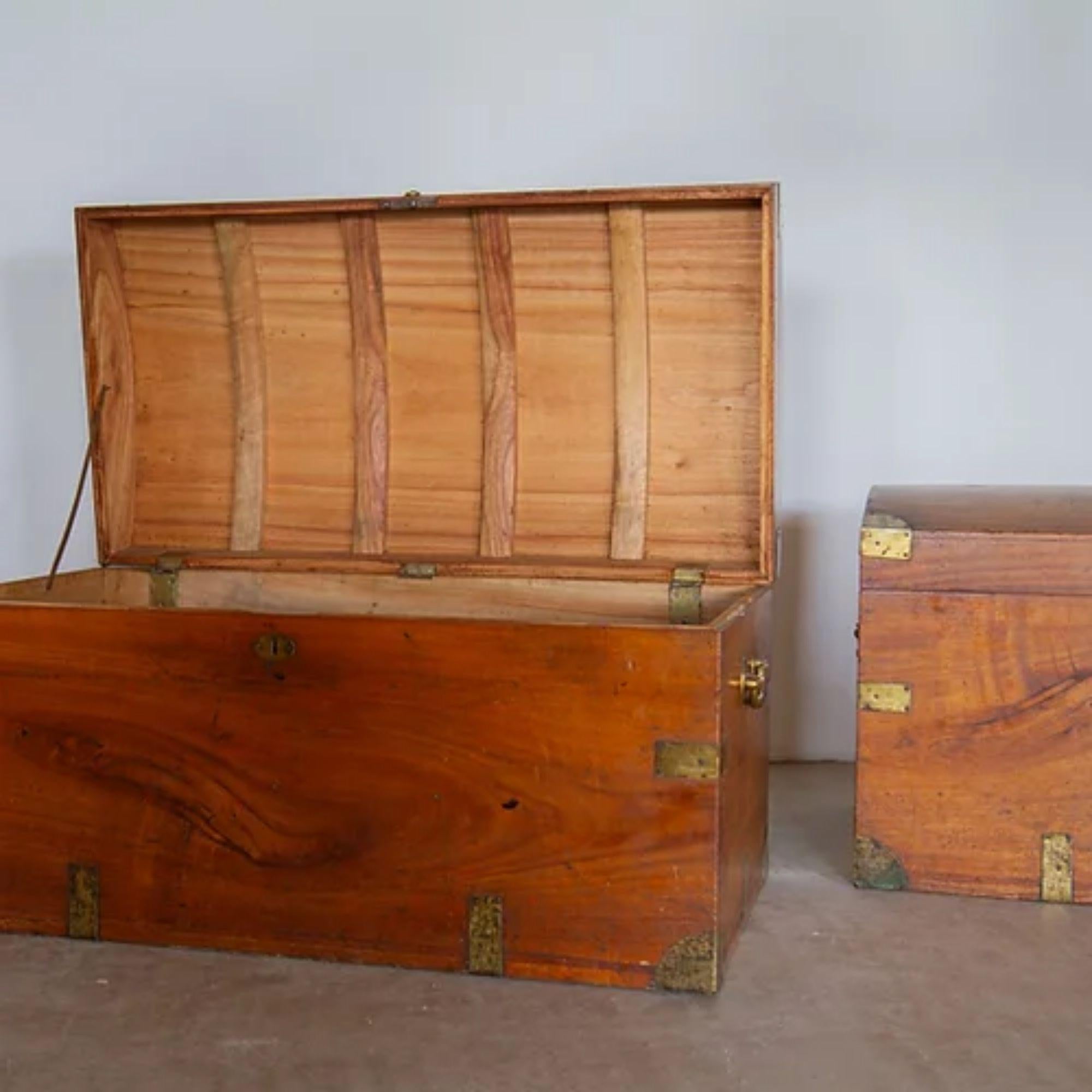 Pair of Early 19th Century Camphor Wood Dome Topped Trunks, circa 1830 In Good Condition In Donhead St Mary, Wiltshire