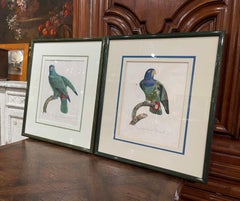 Pair of Early 19th Century French Hand Colored Parrot Engravings by J. Barraband