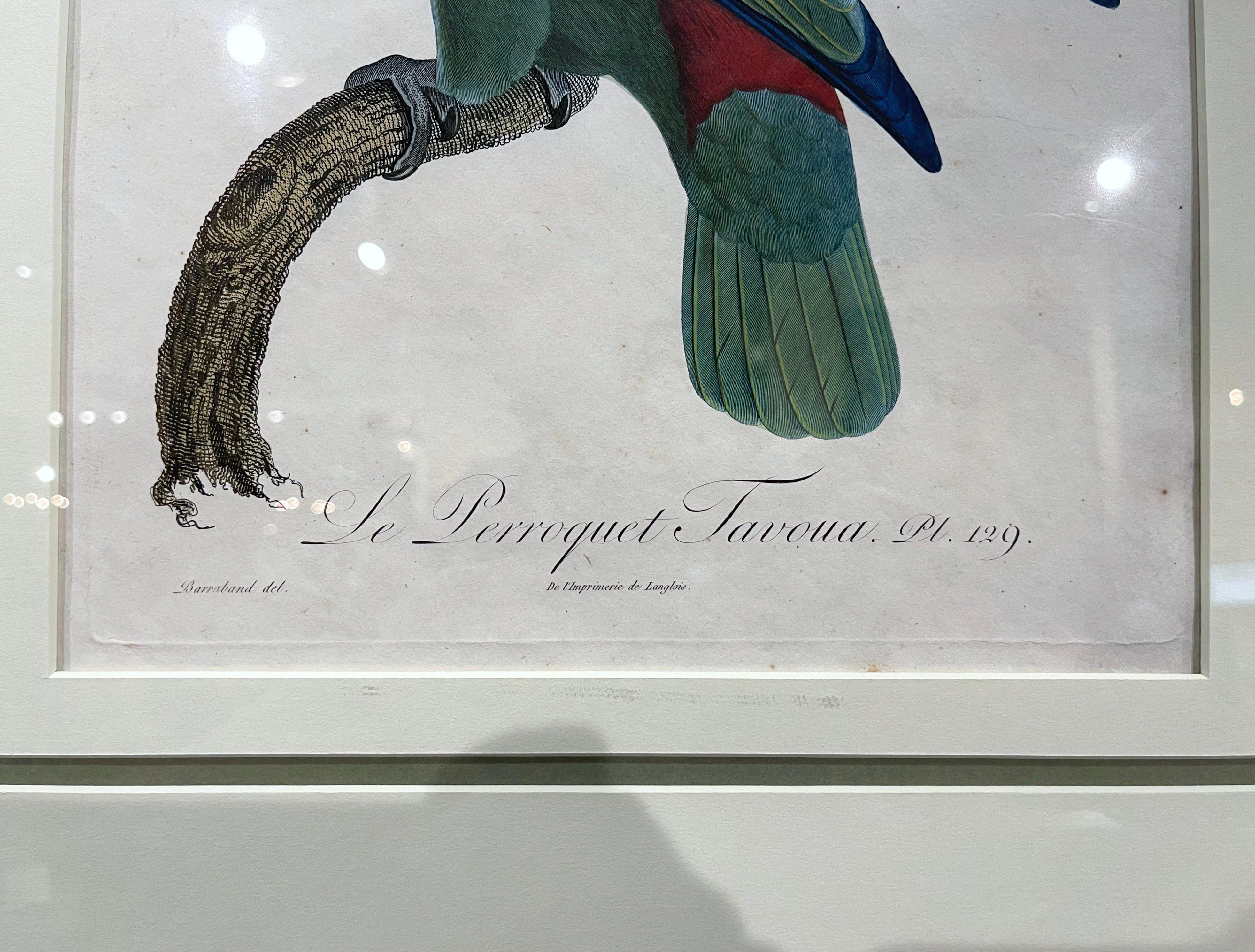 Pair of Early 19th Century French Hand Colored Parrot Engravings by J. Barraband In Excellent Condition In Dallas, TX