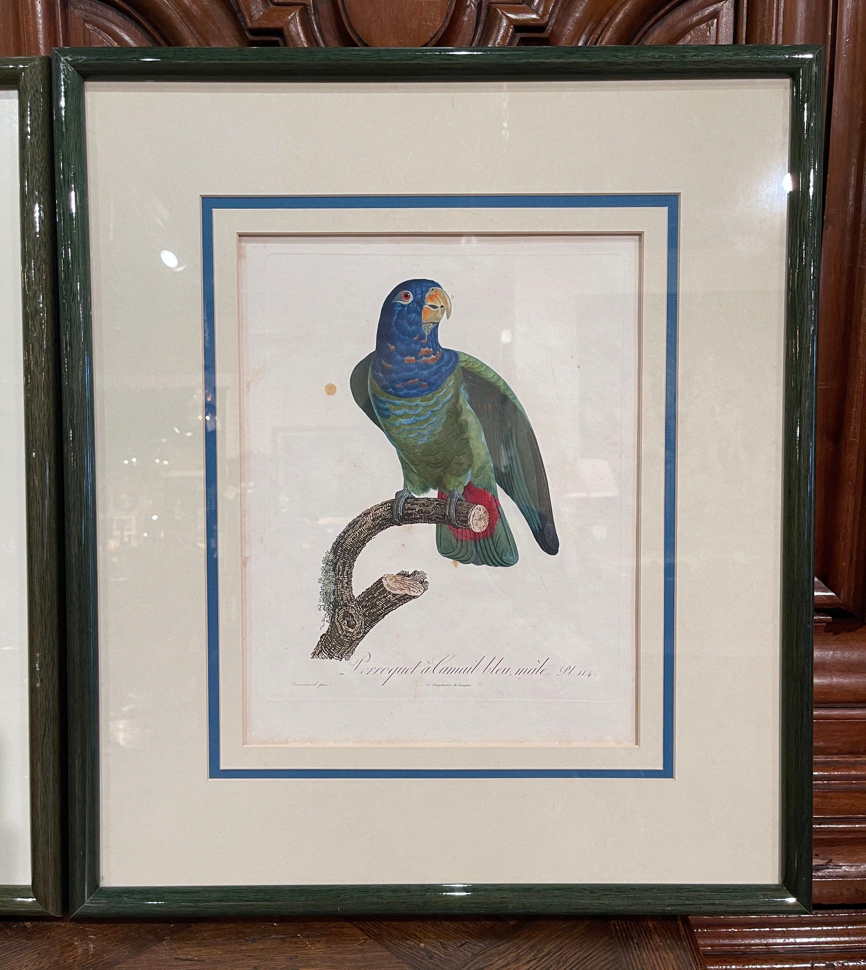 Pair of Early 19th Century French Hand Colored Parrot Engravings by J. Barraband 1