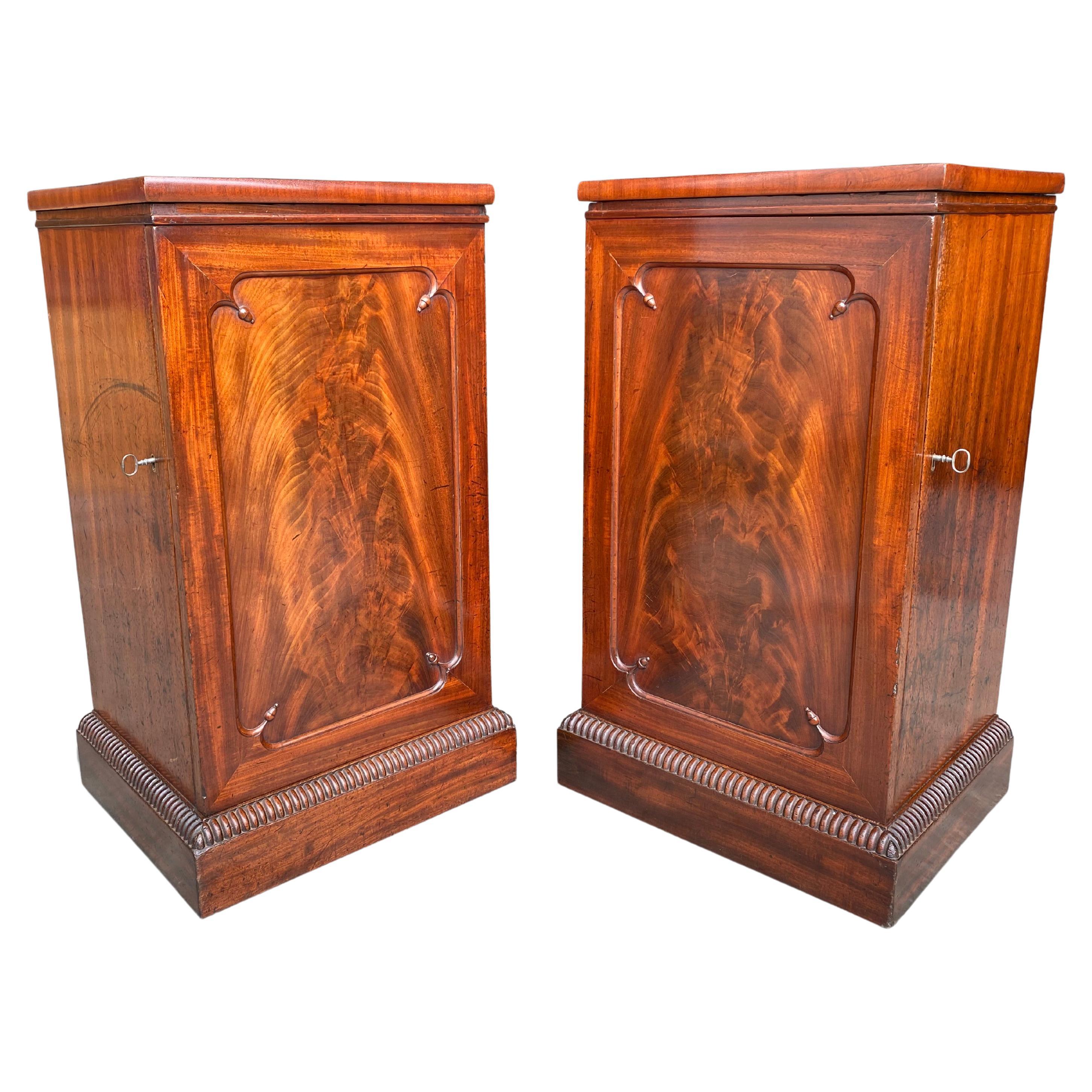 Pair of Early 19th Century George III Period Bedside Cabinets