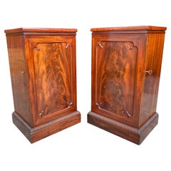 Antique Pair of Early 19th Century George III Period Bedside Cabinets