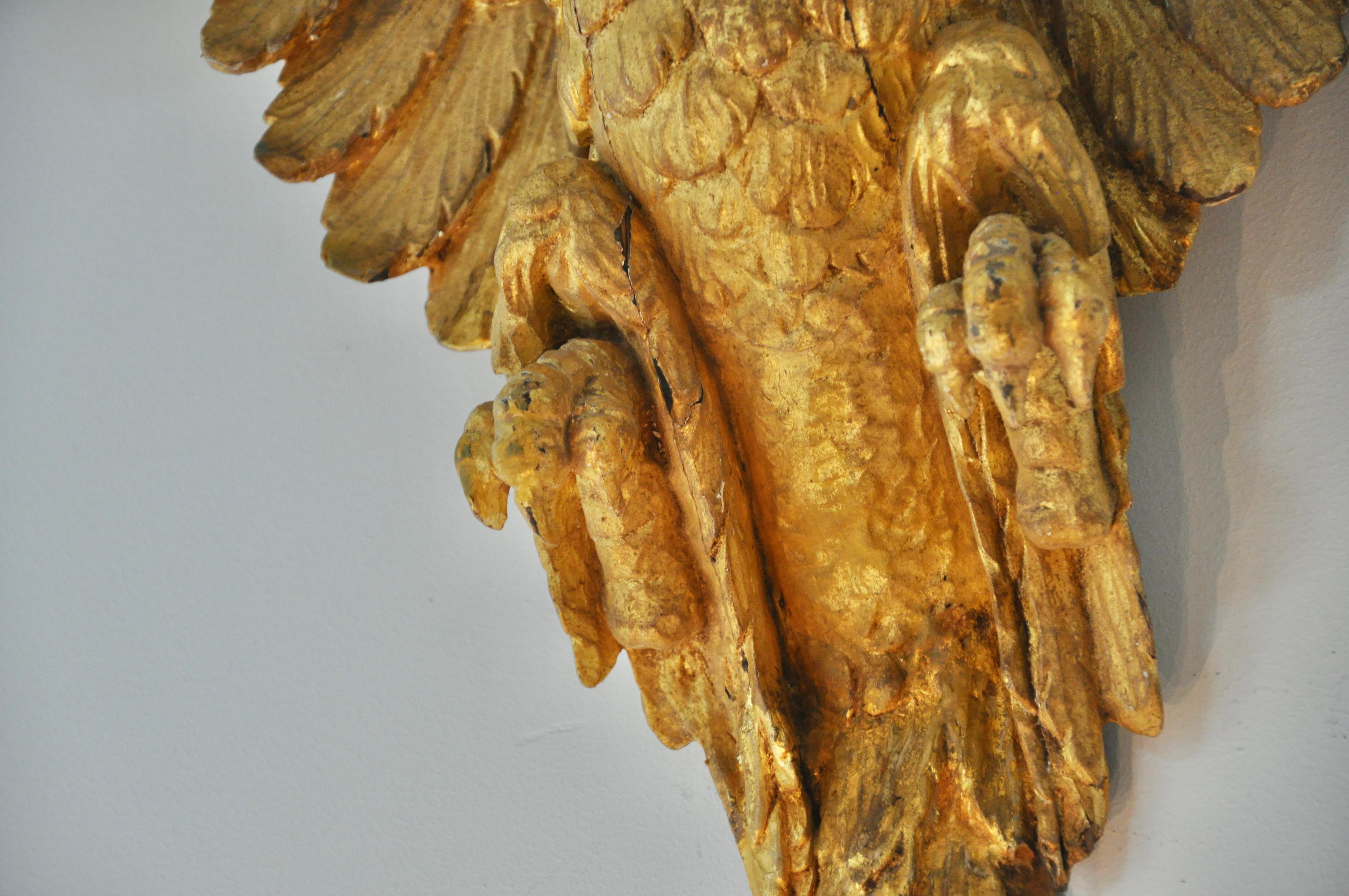 Paar italienische Adler-Wandhalterungen aus vergoldetem Holz aus dem frühen 19. Jahrhundert im Angebot 3