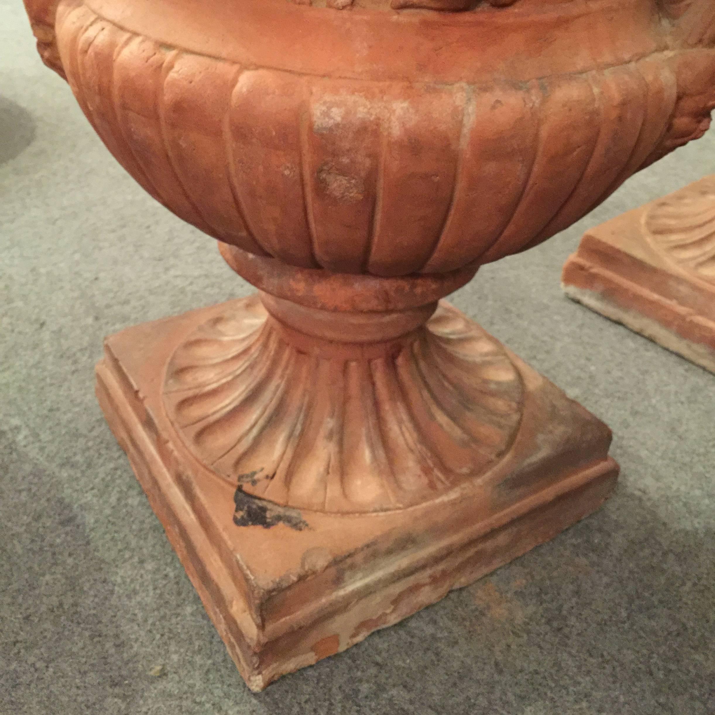 Pair of Early 19th Century Italian Neoclassical Medici Style Terracotta Urns 9