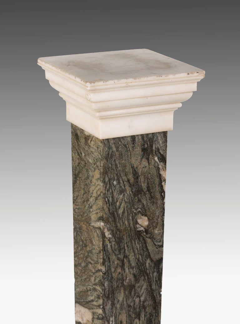 Pair of Early 19th Century Marble Columns For Sale at 1stDibs