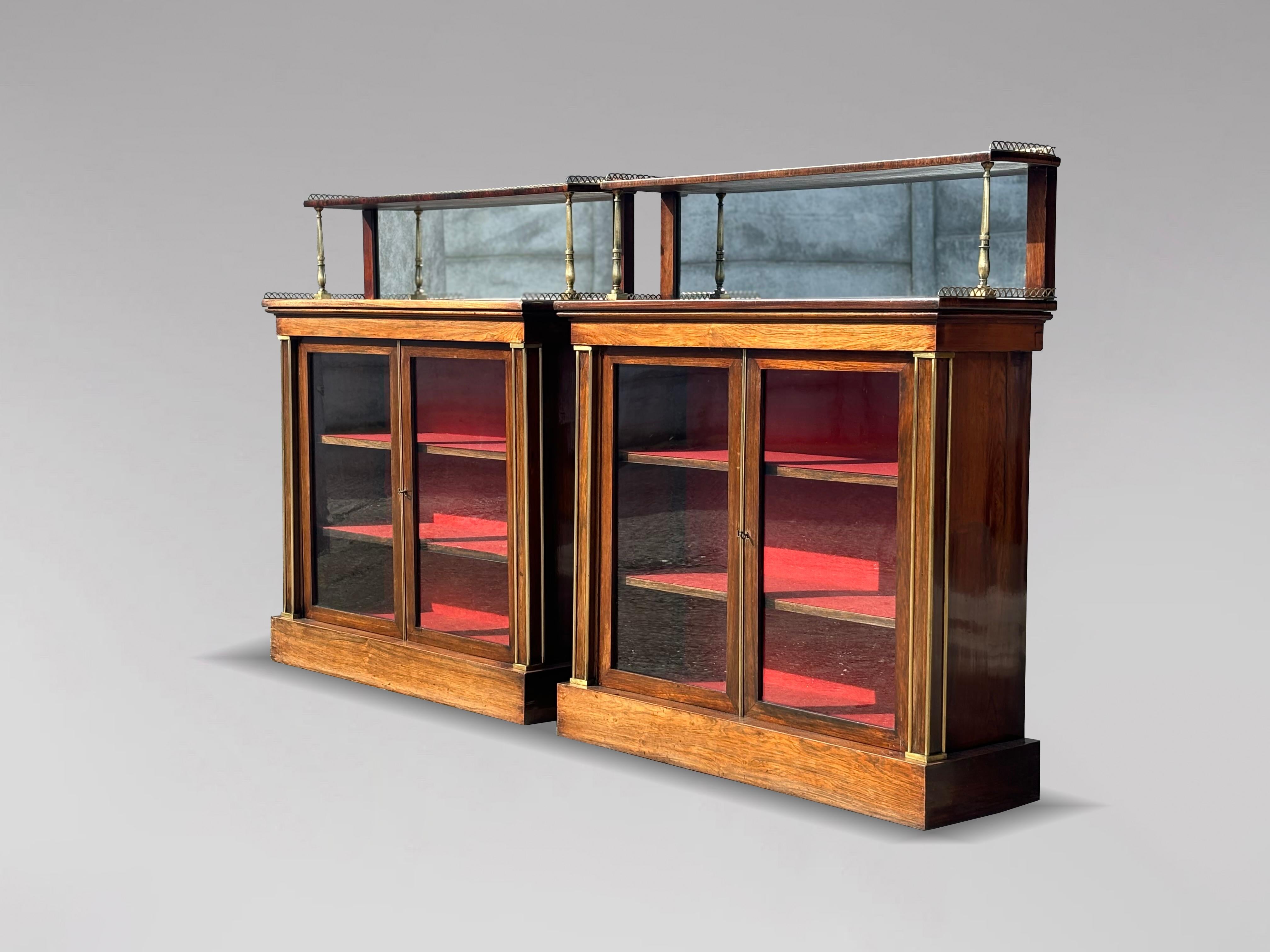 Britannico Coppia di chiffoniere in legno di palissandro del periodo Regency dell'inizio del XIX secolo in vendita