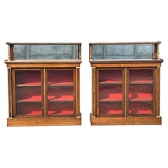 Coppia di chiffoniere in legno di palissandro del periodo Regency dell'inizio del XIX secolo