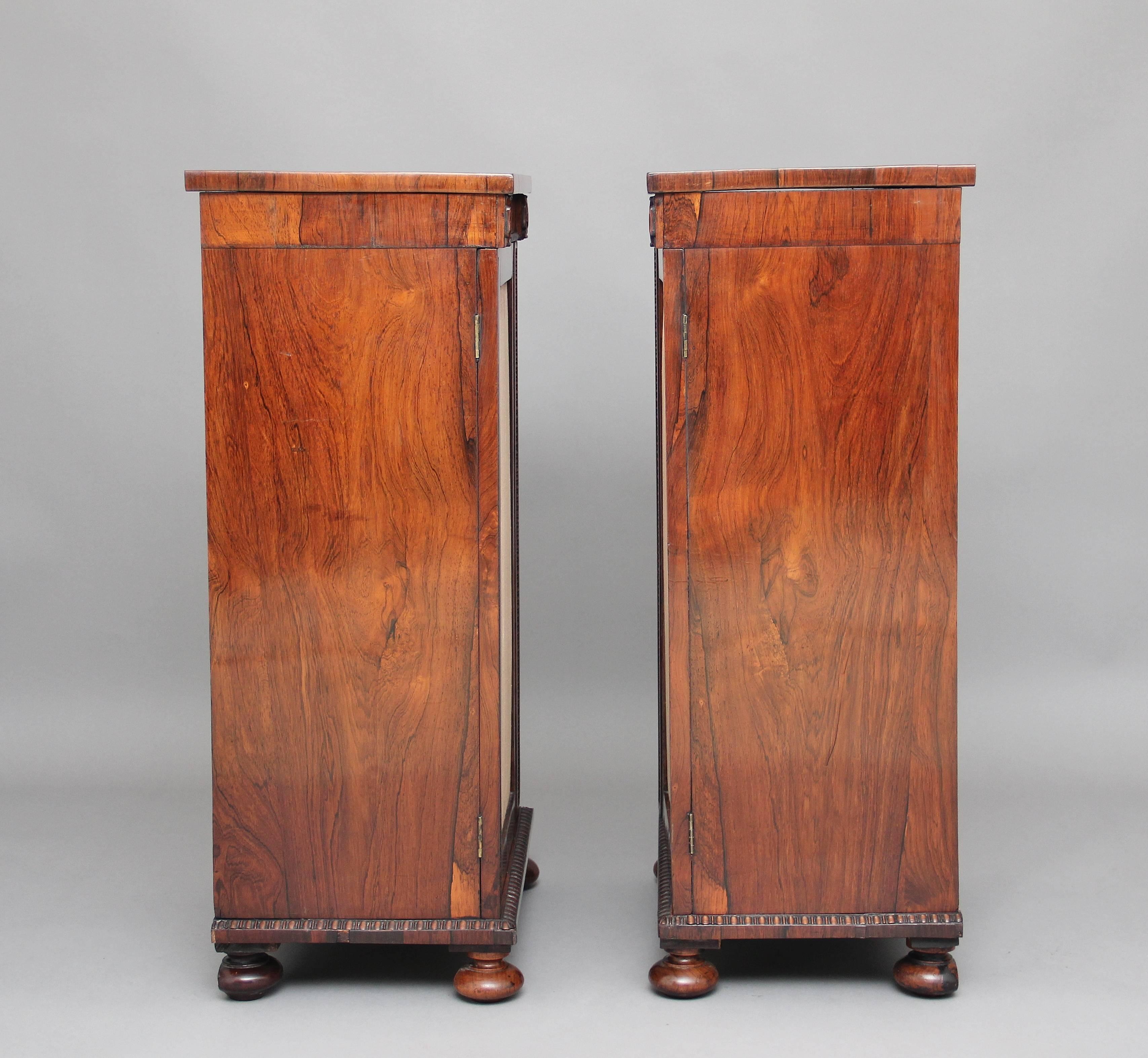English Pair of Early 19th Century Rosewood Pedestal Cabinets For Sale