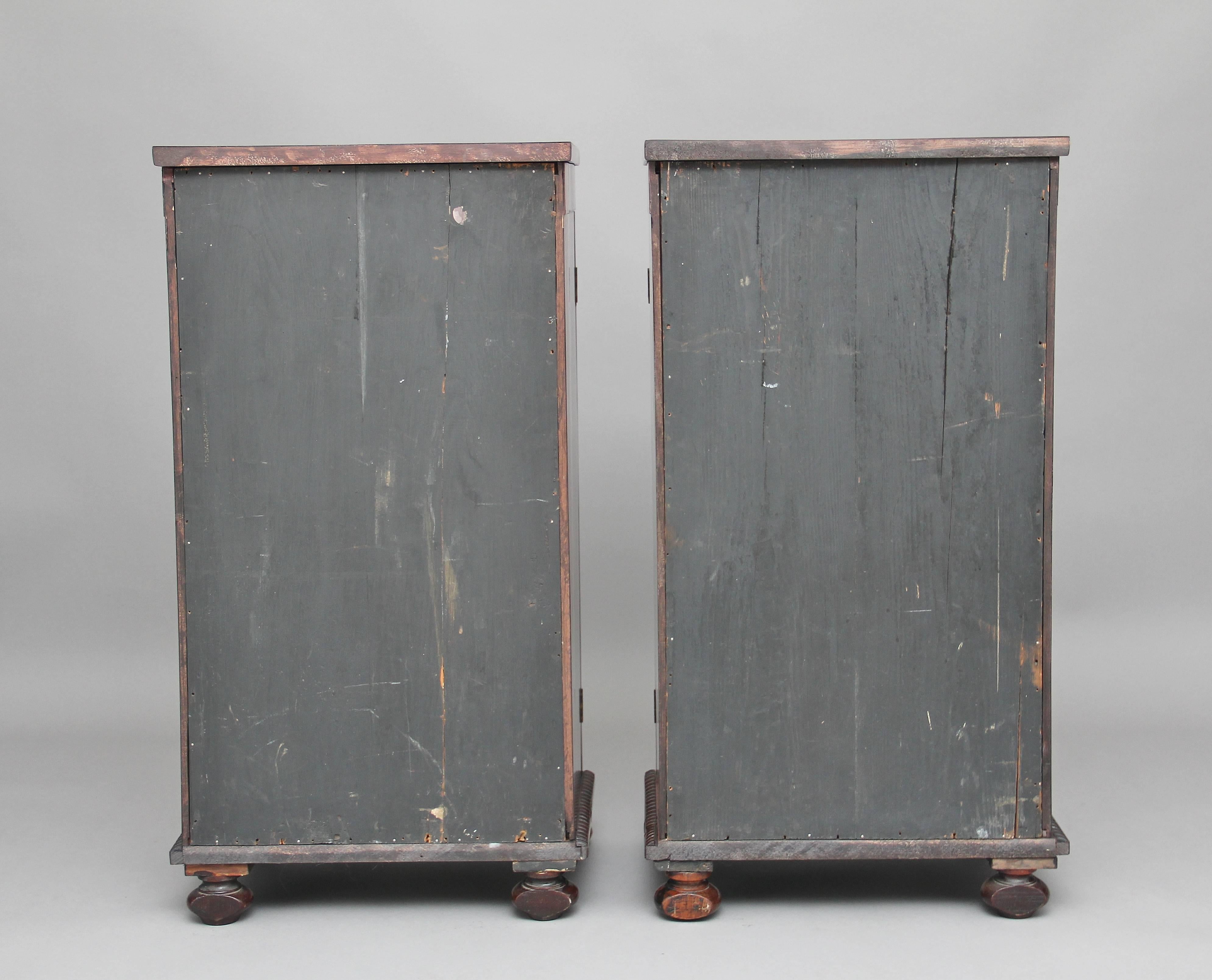 Pair of Early 19th Century Rosewood Pedestal Cabinets In Good Condition For Sale In Martlesham, GB