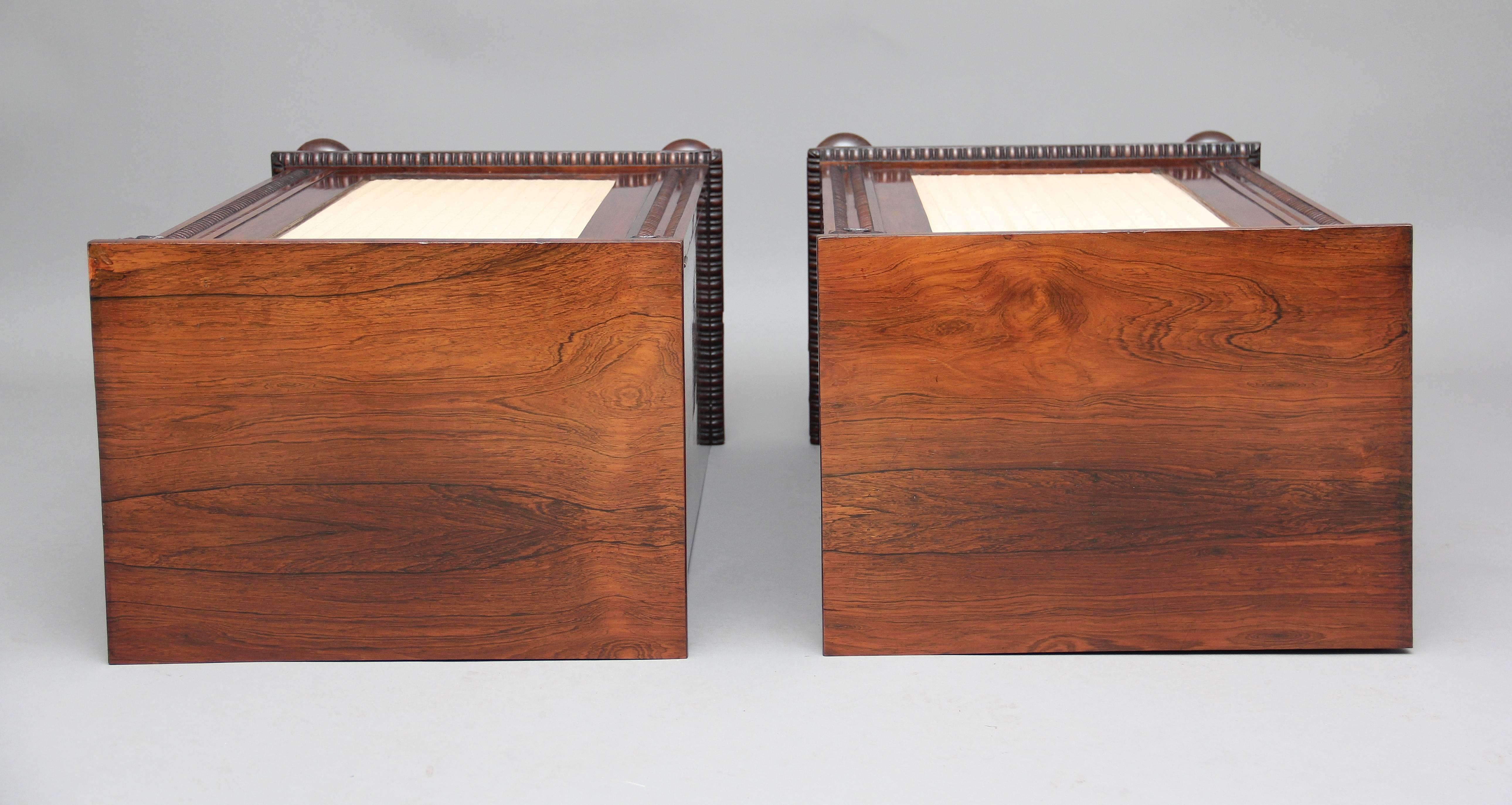 Pair of Early 19th Century Rosewood Pedestal Cabinets For Sale 1