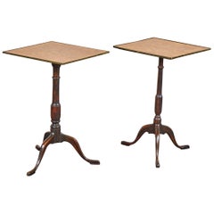 Pair of Early 19th Century Swedish Pedestal Tilt-Top Tables