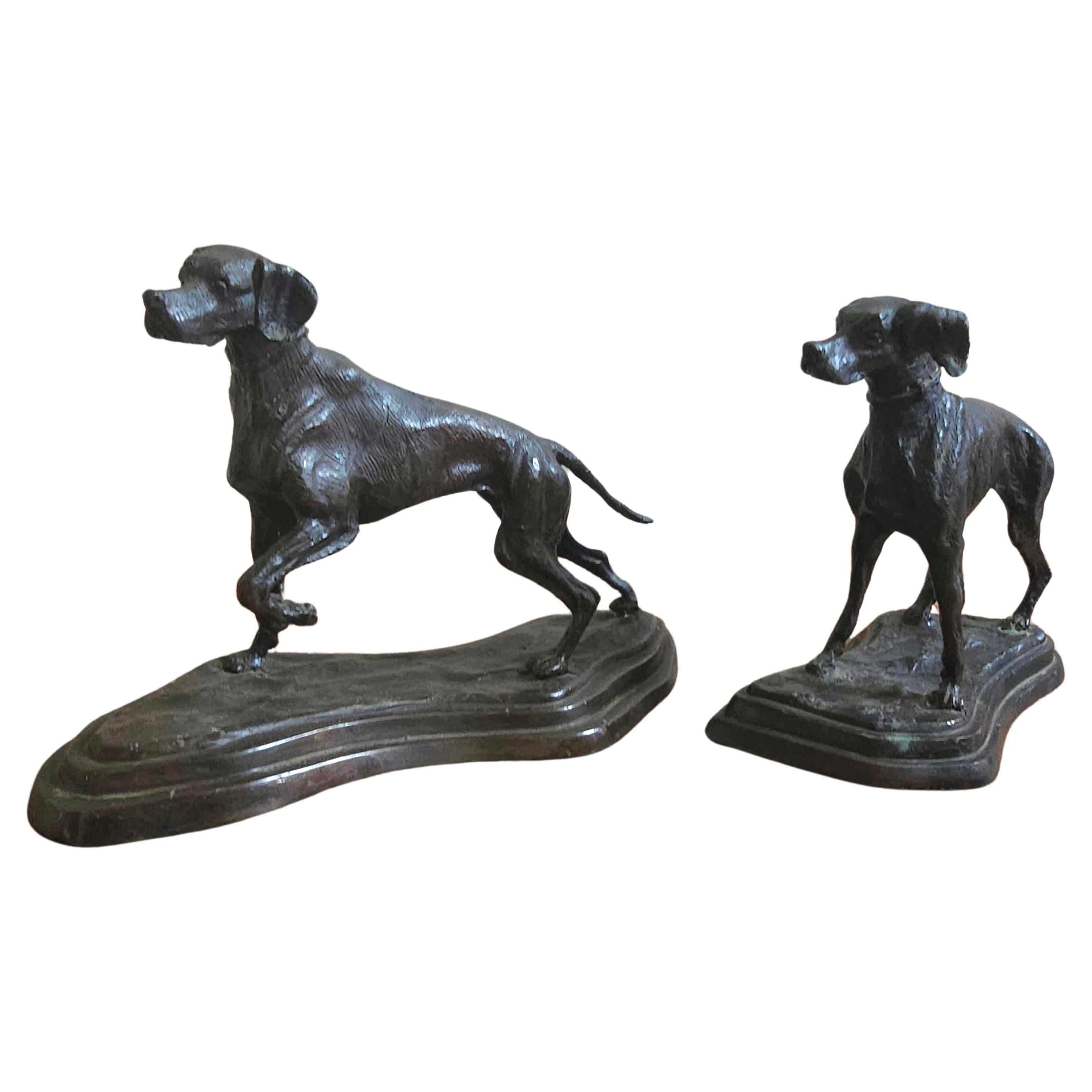 Coppia di segugi maschili e femminili in bronzo patinato dei primi del Novecento. La misura più grande è di 13