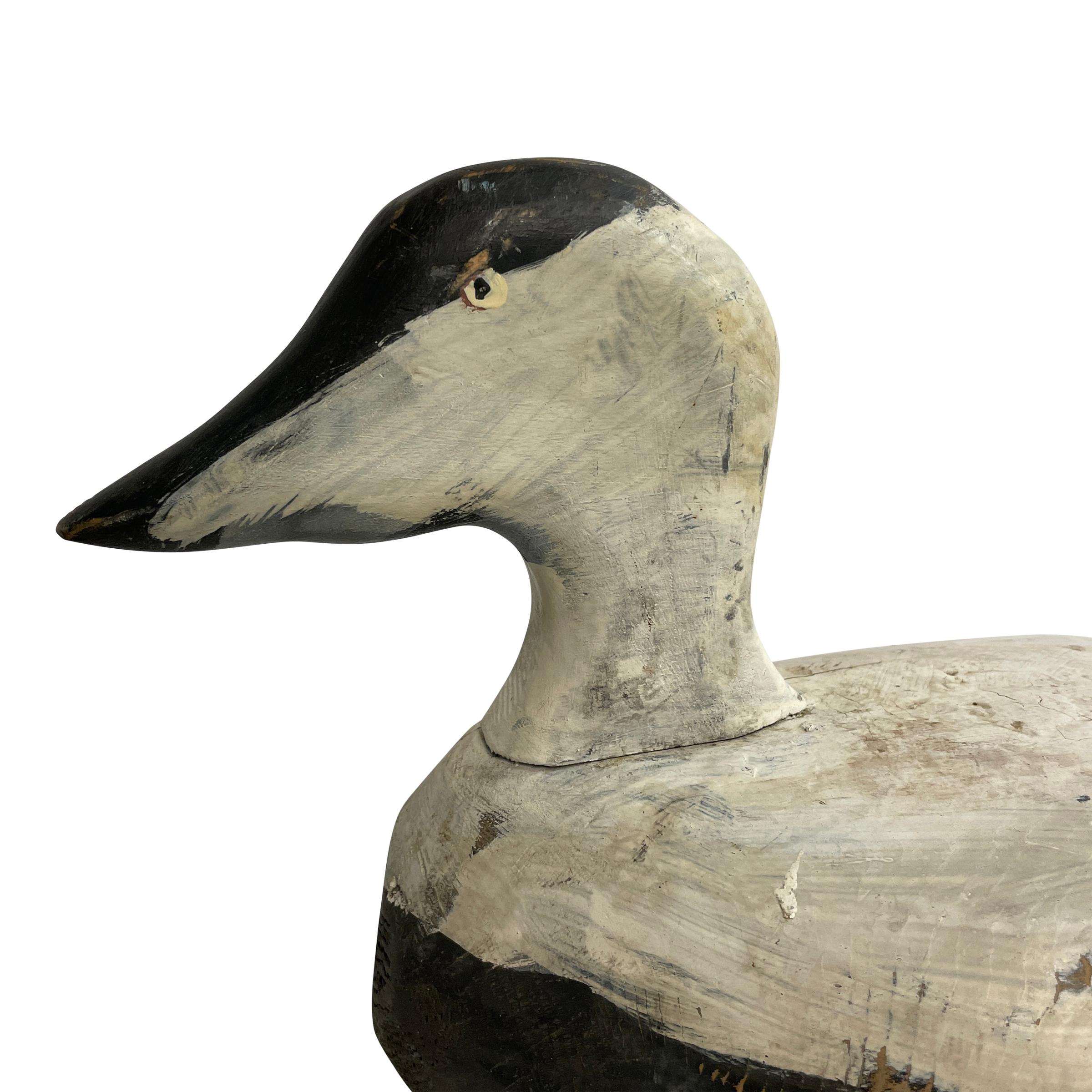 Pair of Early 20th Century American Eider Duck Decoys 3