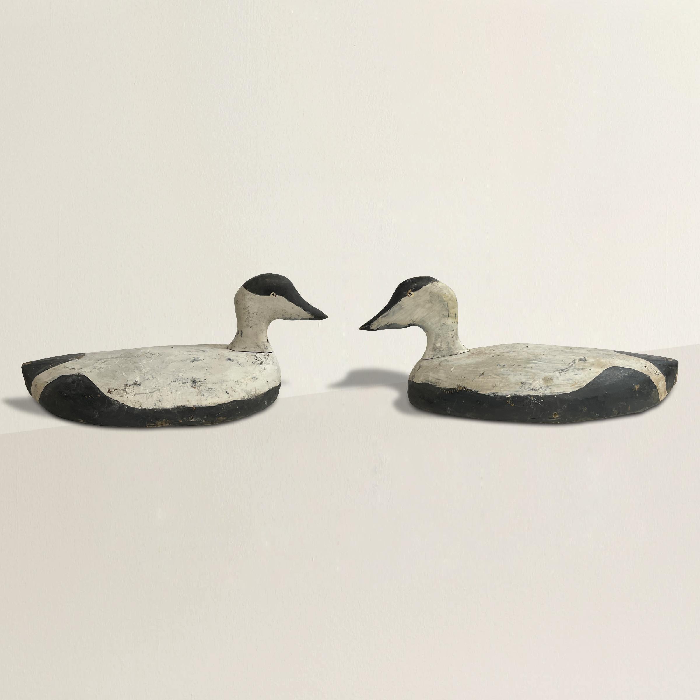 Une paire d'appelants spéciaux et fantaisistes de canards Eider en bois américain du début du 20e siècle, sculptés à la main, avec des corps et des yeux peints en noir et blanc.