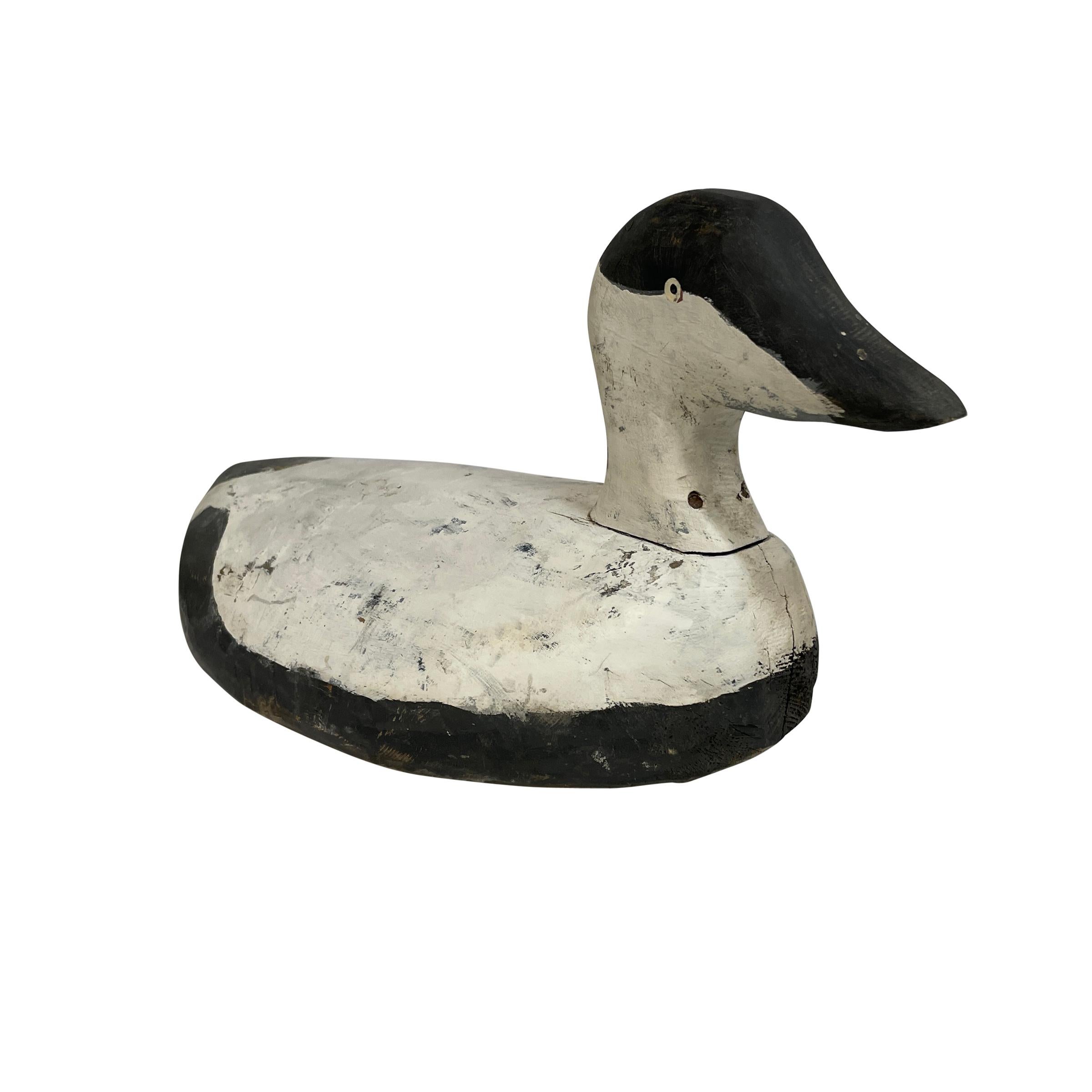 eider decoys