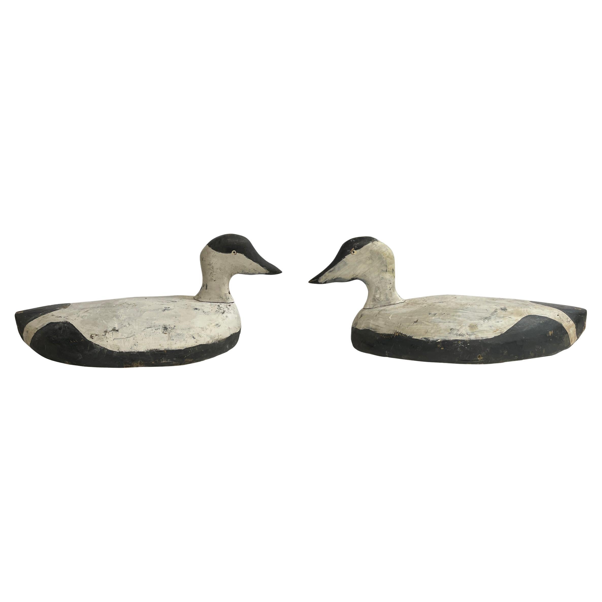 Pair of Early 20th Century American Eider Duck Decoys