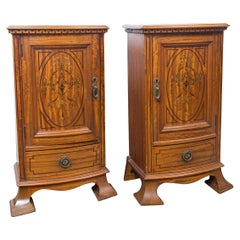 Pair of Early 20th Century Bedside Cabinets or Nightstands