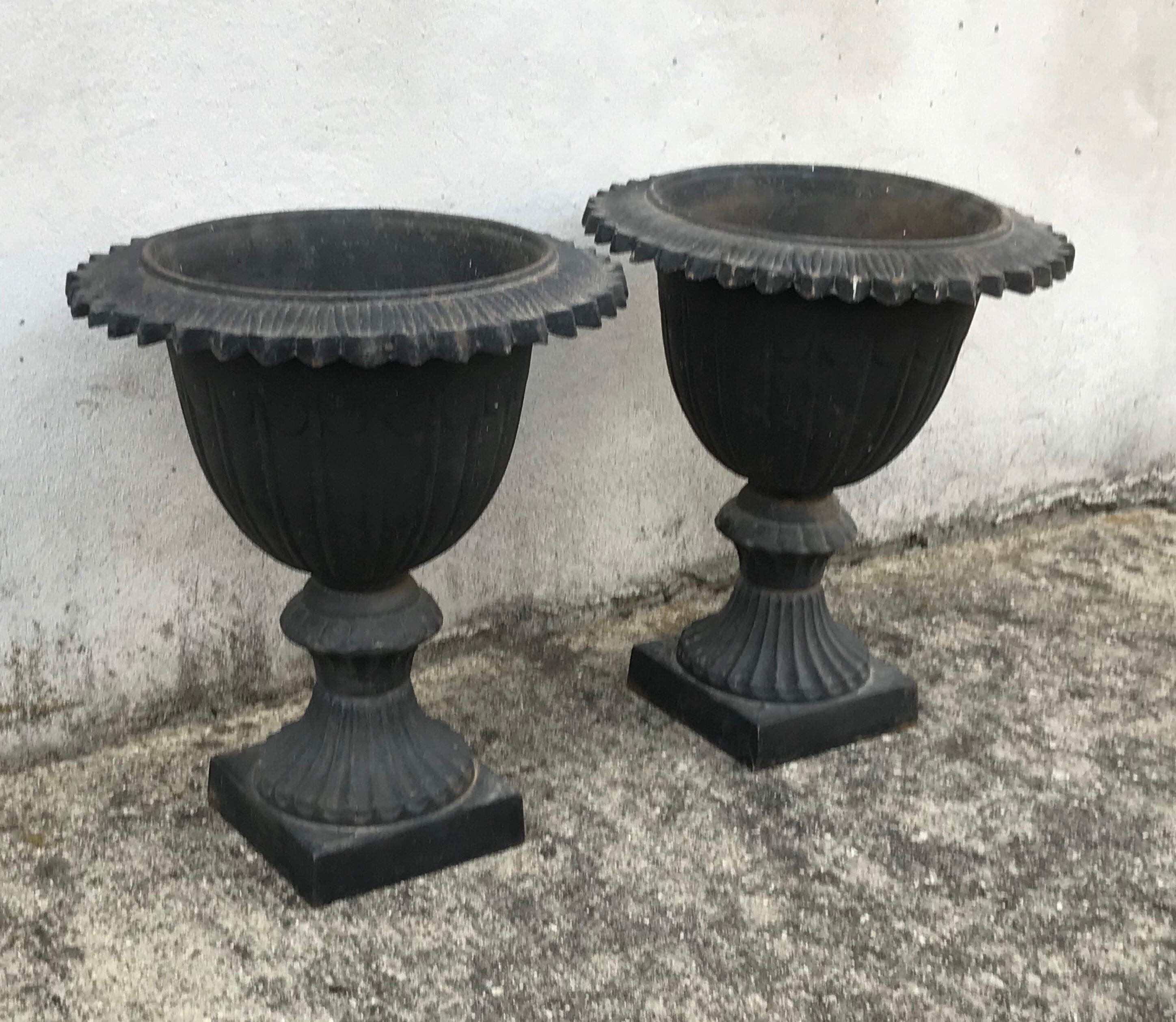 Very nice pair of black cast iron urns, early 20th century.