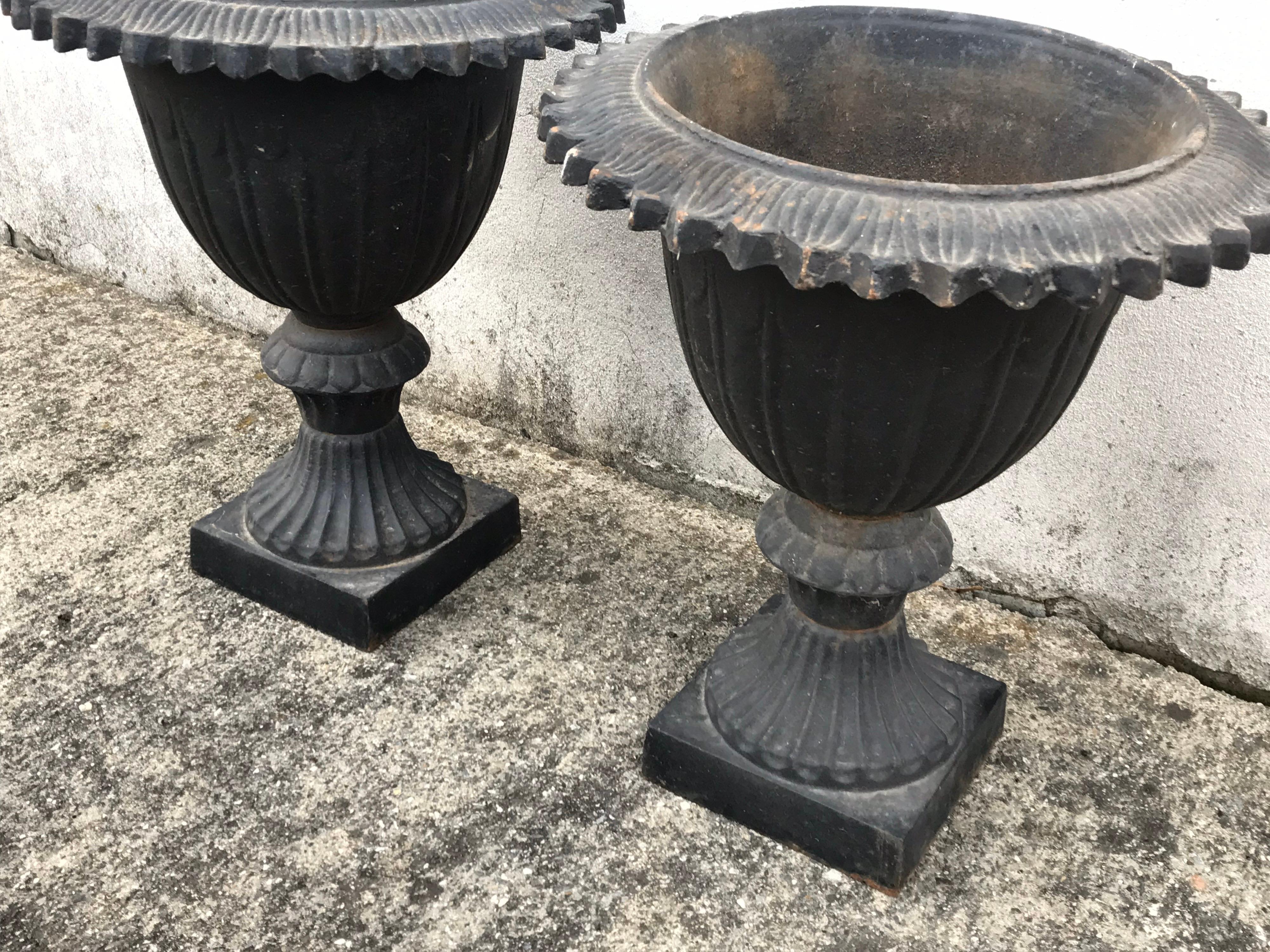 American Pair of Early 20th Century Black Cast Iron Urns