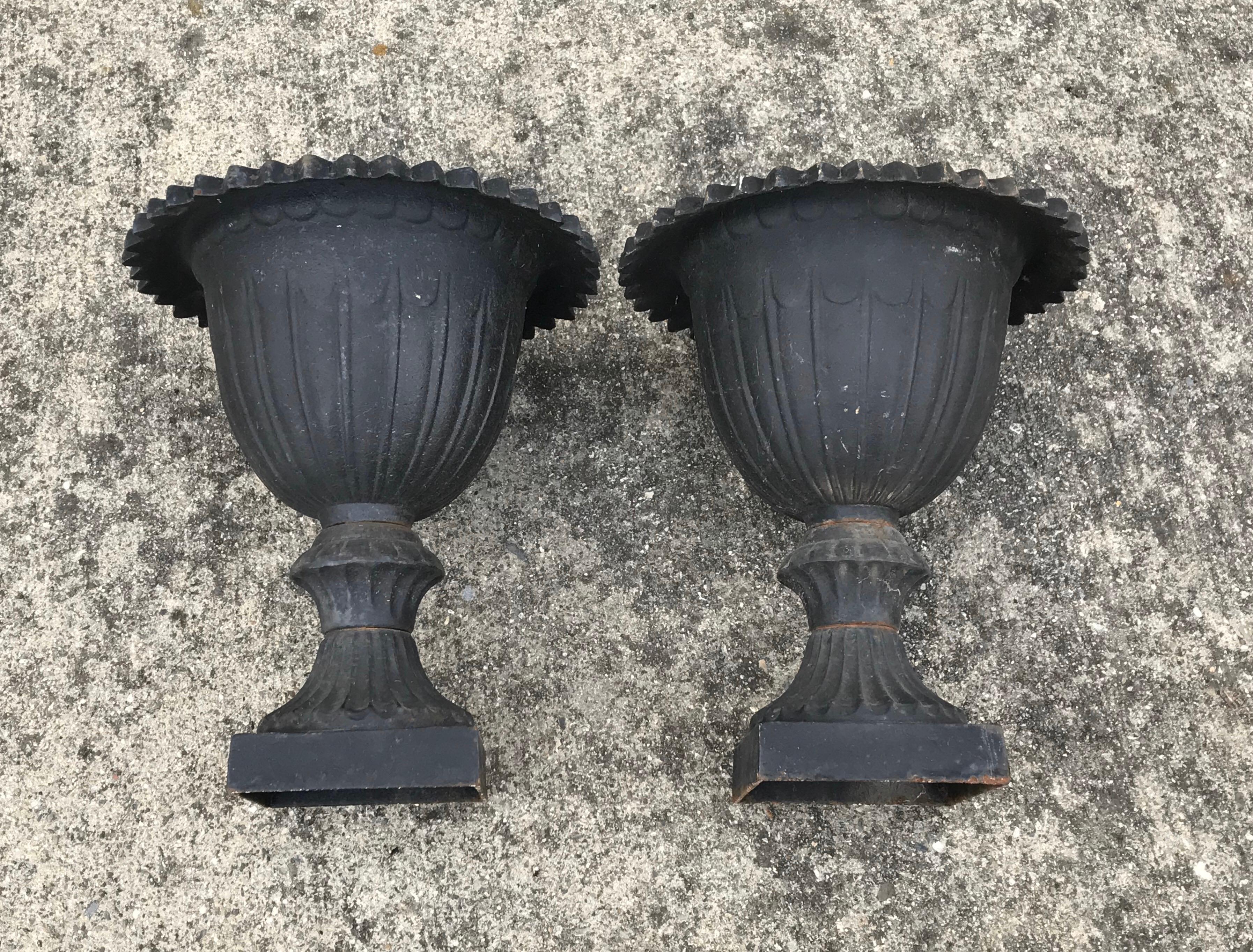 Pair of Early 20th Century Black Cast Iron Urns 1