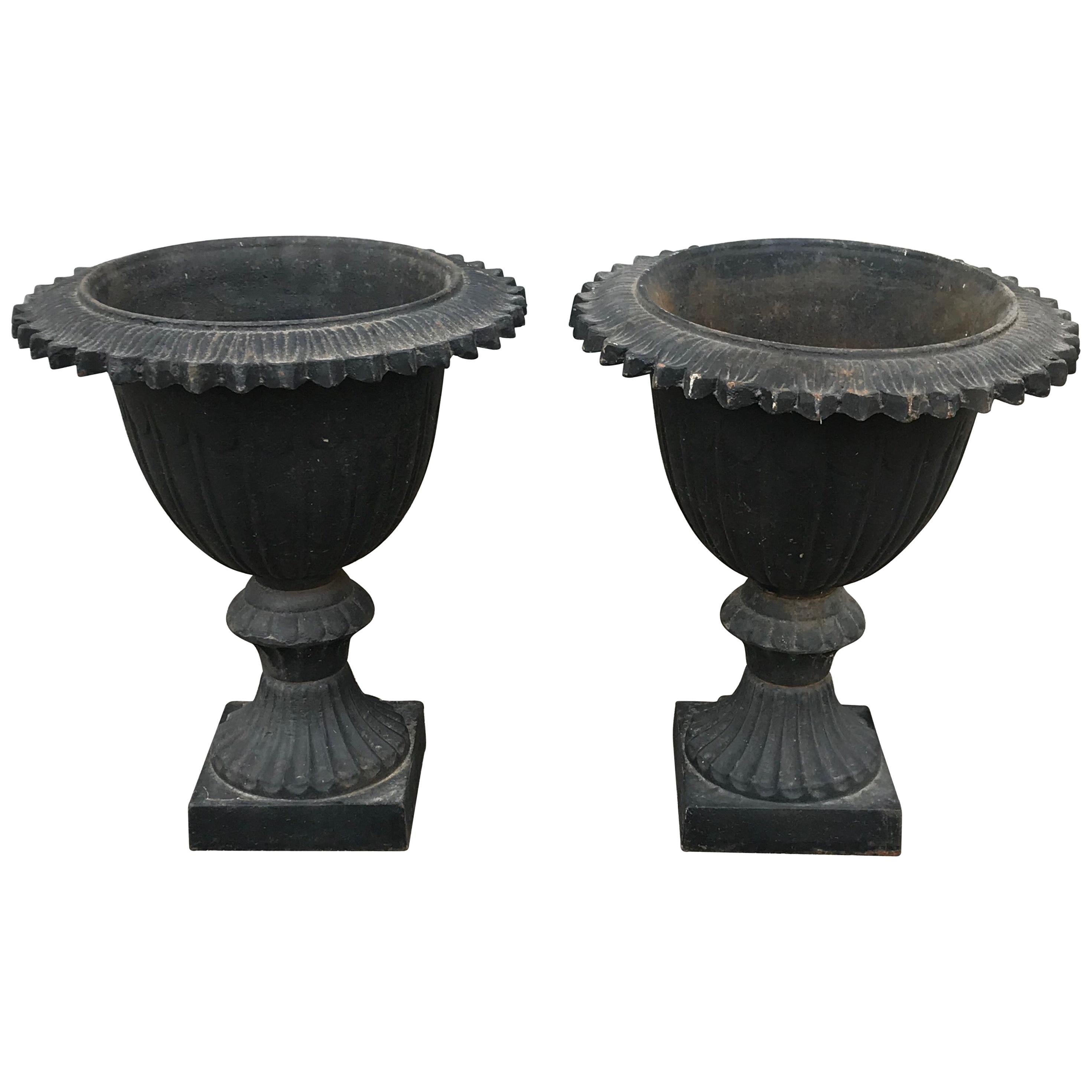 Pair of Early 20th Century Black Cast Iron Urns