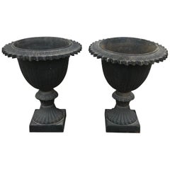 Pair of Early 20th Century Black Cast Iron Urns