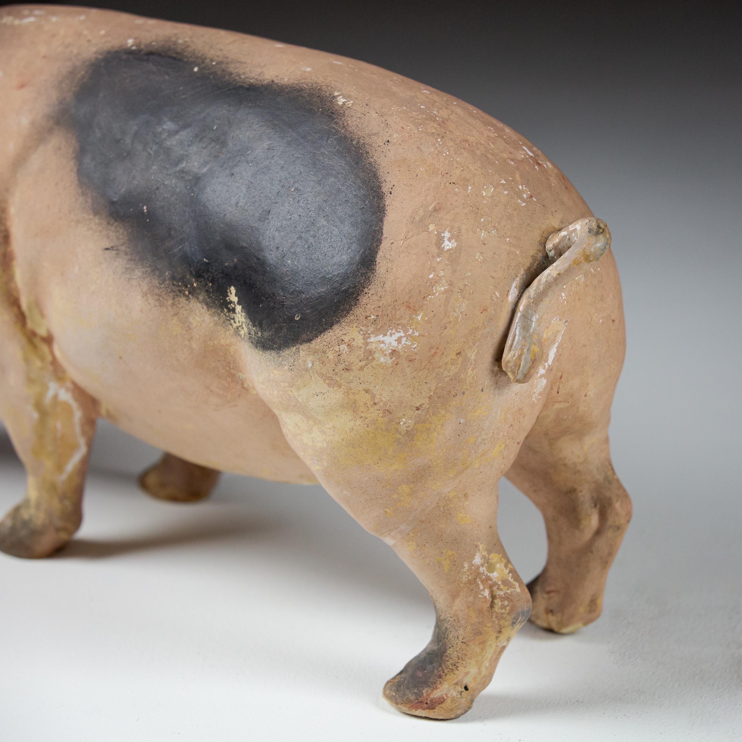 Pair of Early 20th Century Butchers Display Pigs 5