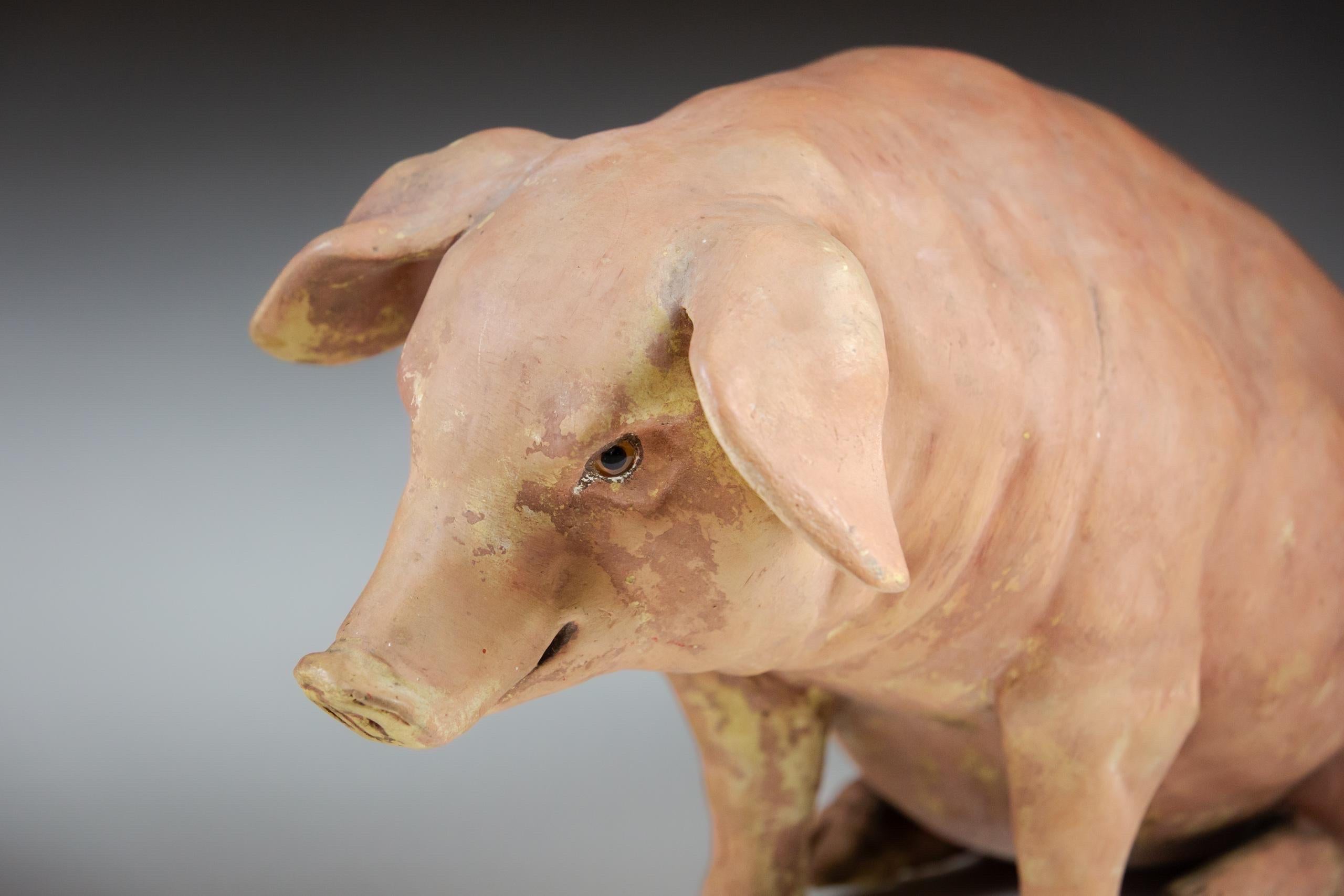 Pair of Early 20th Century Butchers Display Pigs 6