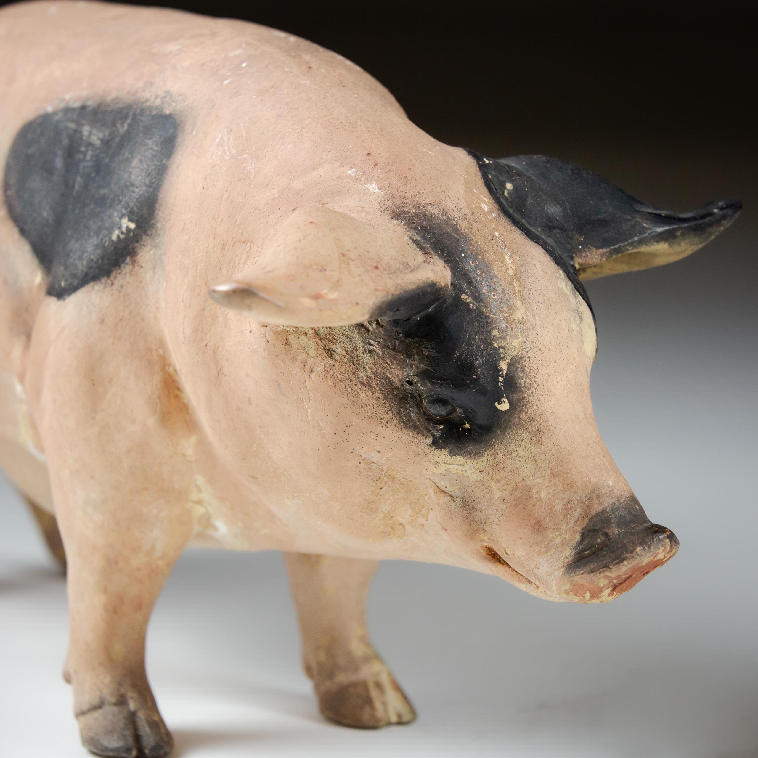 Pair of Early 20th Century Butchers Display Pigs 7