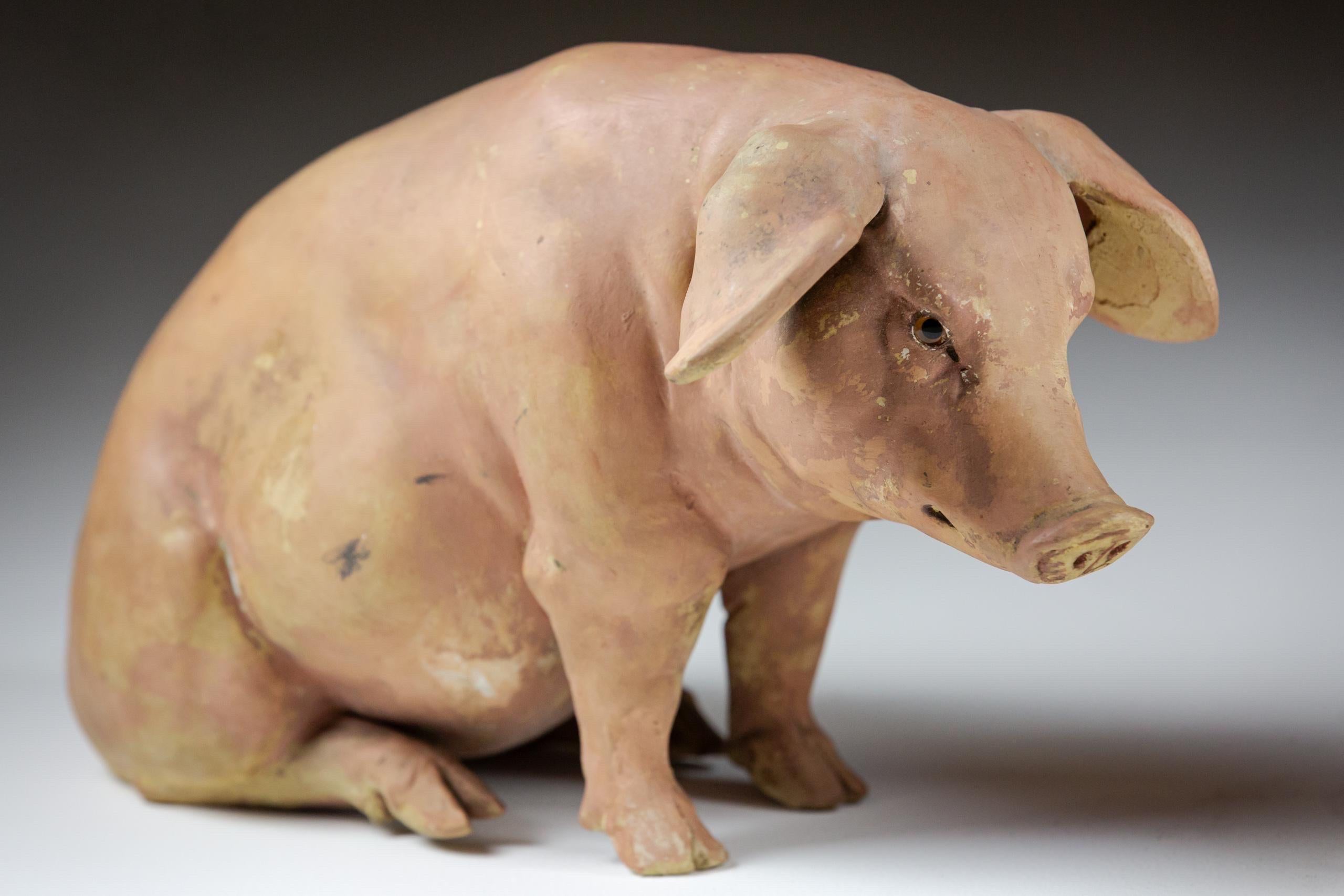 Pair of Butchers Shop Display Pigs In the form of a Middle White (Sitting) and Swabian-Hall (Standing) Glass eyes Painted terracotta remarkable detail and quality. Stamped (indistinctly) Measurement is of standing pig. European, Circa 1930.