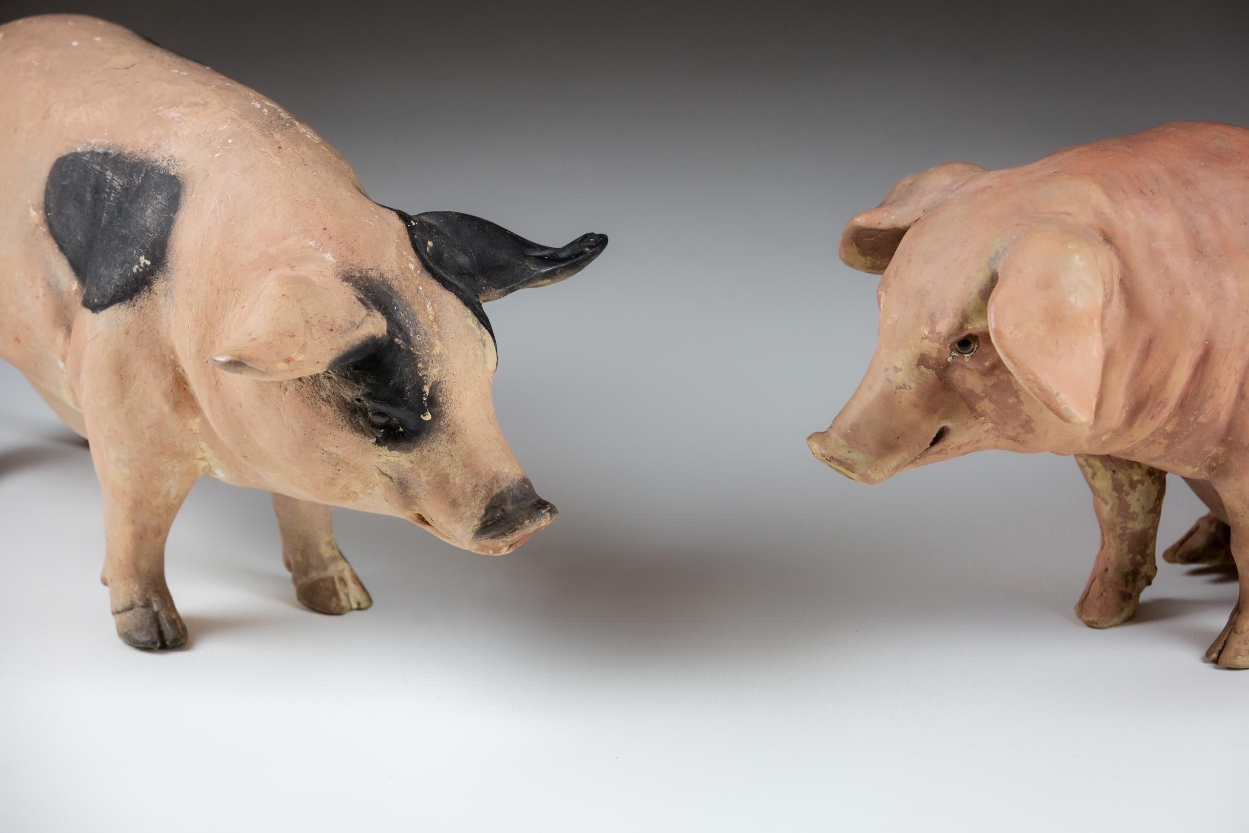 Pair of Early 20th Century Butchers Display Pigs 2