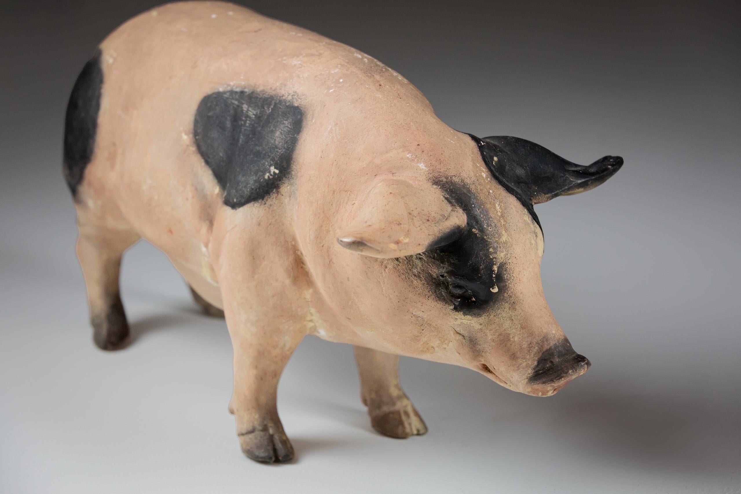 Pair of Early 20th Century Butchers Display Pigs 3