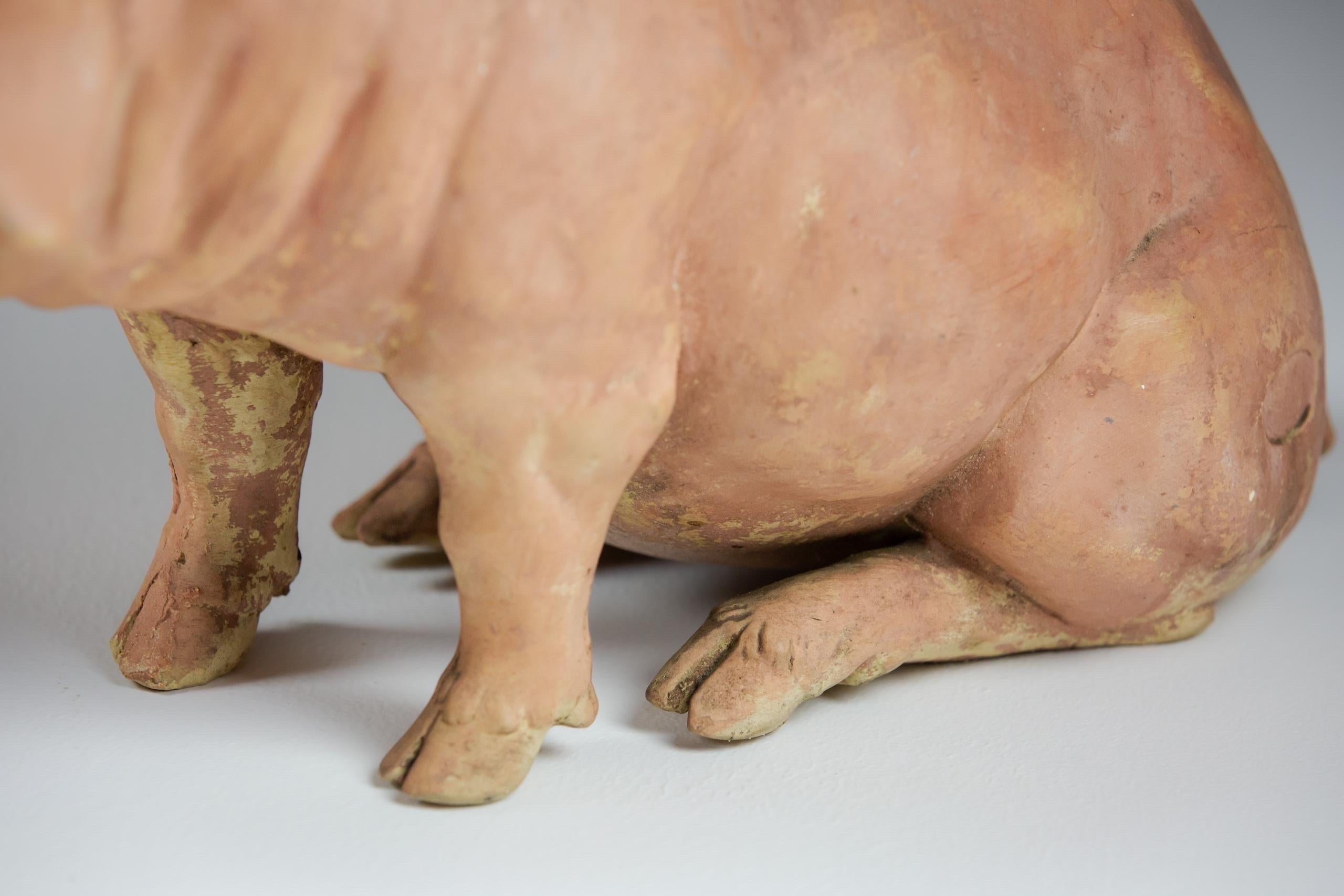 Pair of Early 20th Century Butchers Display Pigs 4
