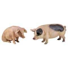 Pair of Early 20th Century Butchers Display Pigs