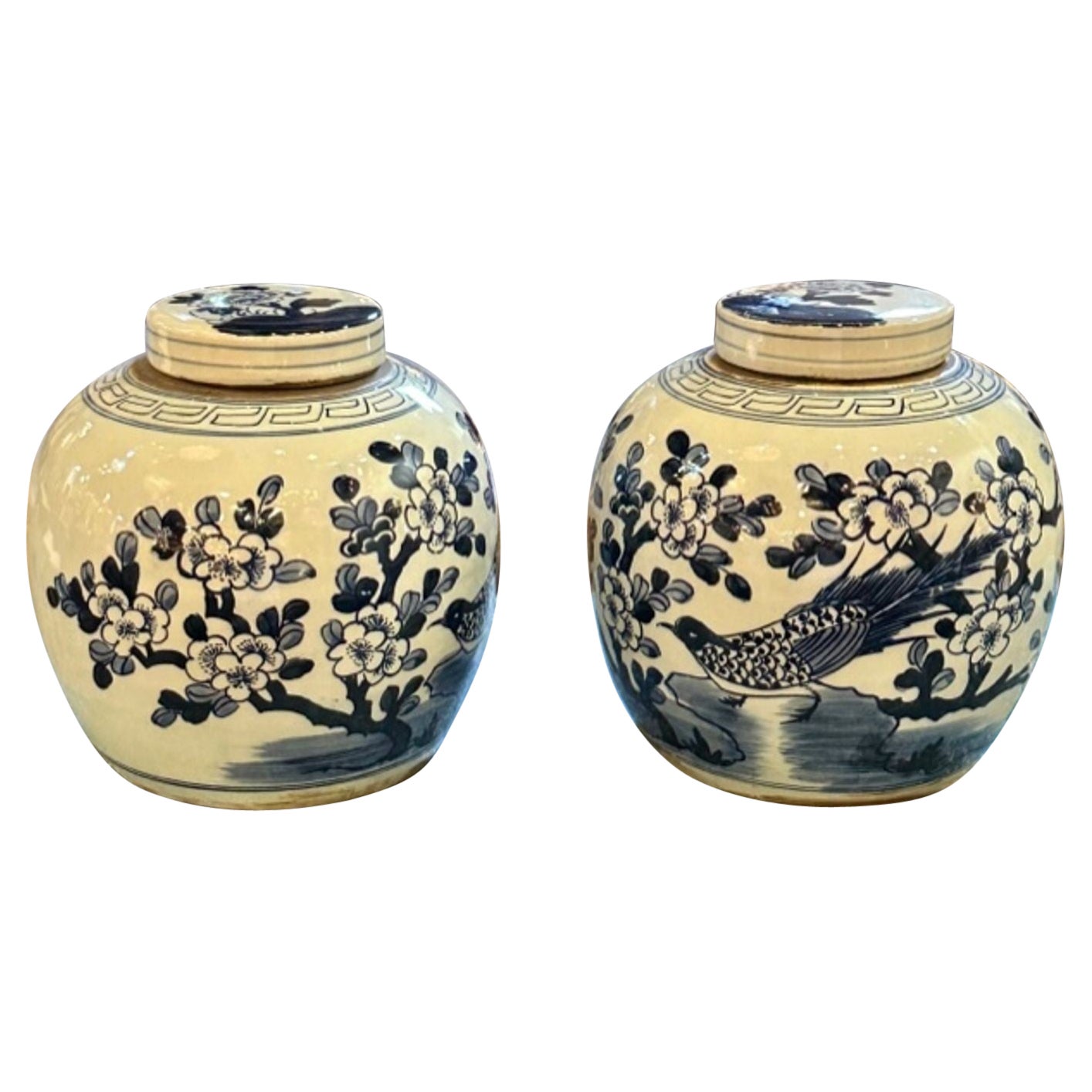 Pair of Early 20th Century Chinese Blue and White Ginger Jars