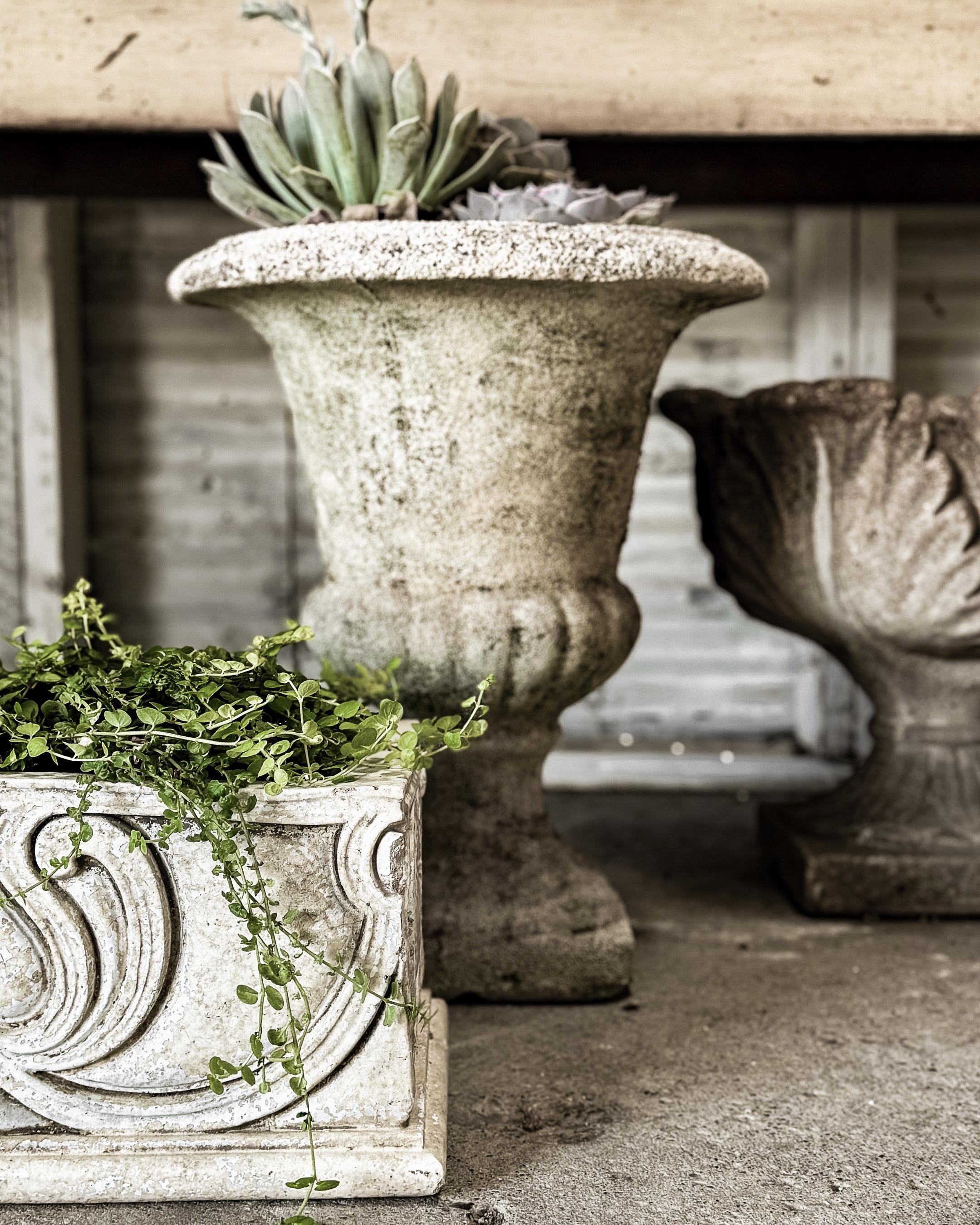 Pair of Early 20th Century Classic French Cement Urn Planters For Sale 2