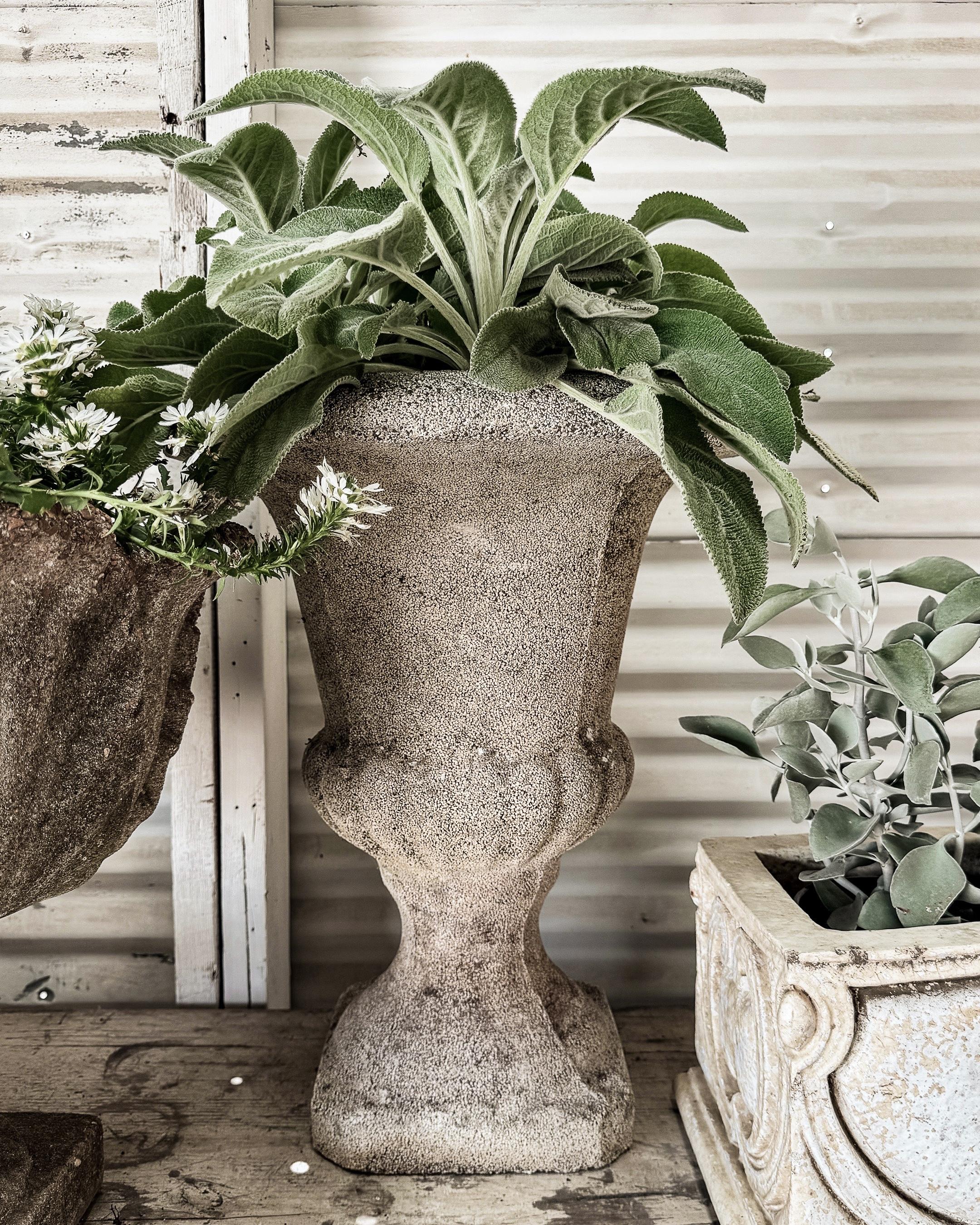 Pair of Early 20th Century Classic French Cement Urn Planters For Sale 3