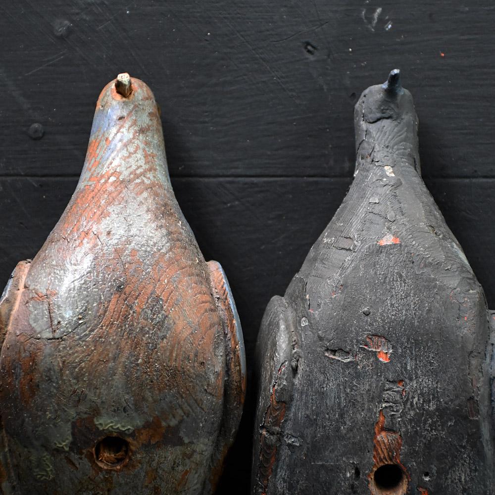 European Pair of early 20th century English estate made folk art decoy pigeons  For Sale