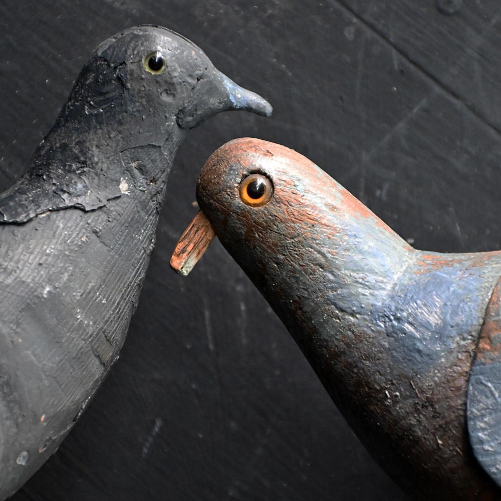 Pine Pair of early 20th century English estate made folk art decoy pigeons  For Sale