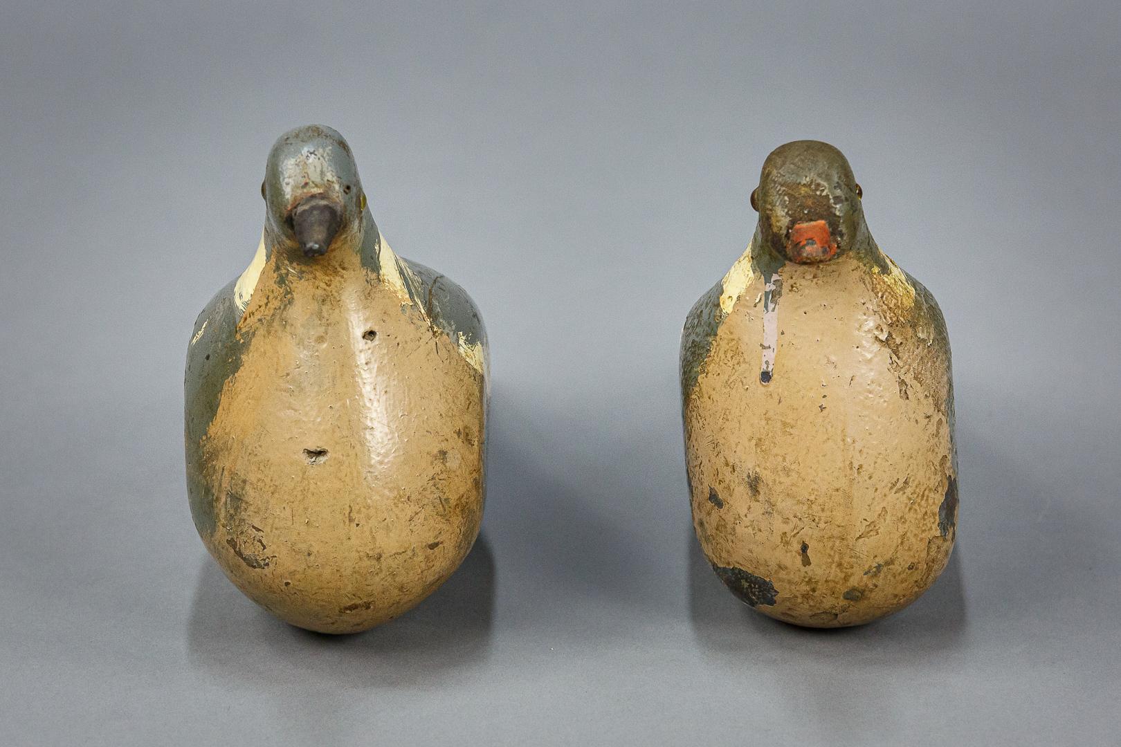 Pair of early 20th century pigeon decoys, wonderful bulbous bodies. Glass eyes, several layers of historical paint, England, circa 1920. Priced as a pair.
 