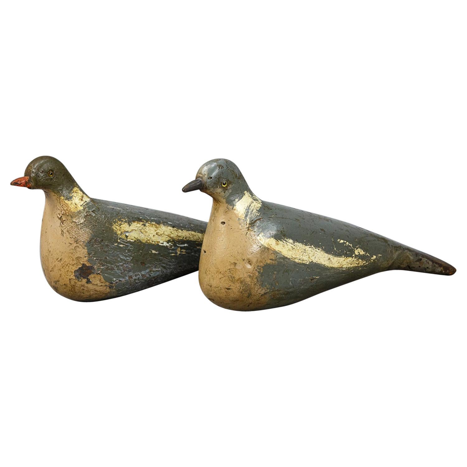 Pair of Early 20th Century English Pigeon Decoys