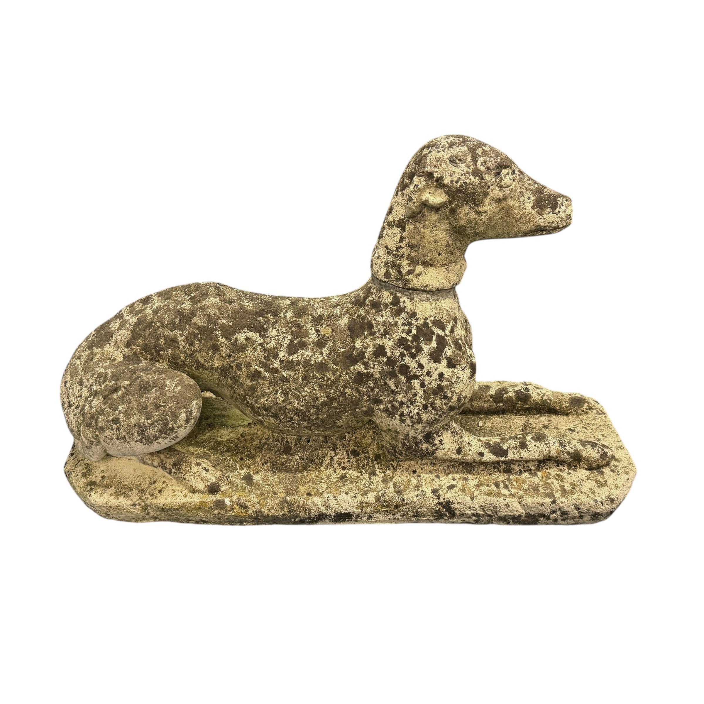 Country Pair of Early 20th Century English Whippets