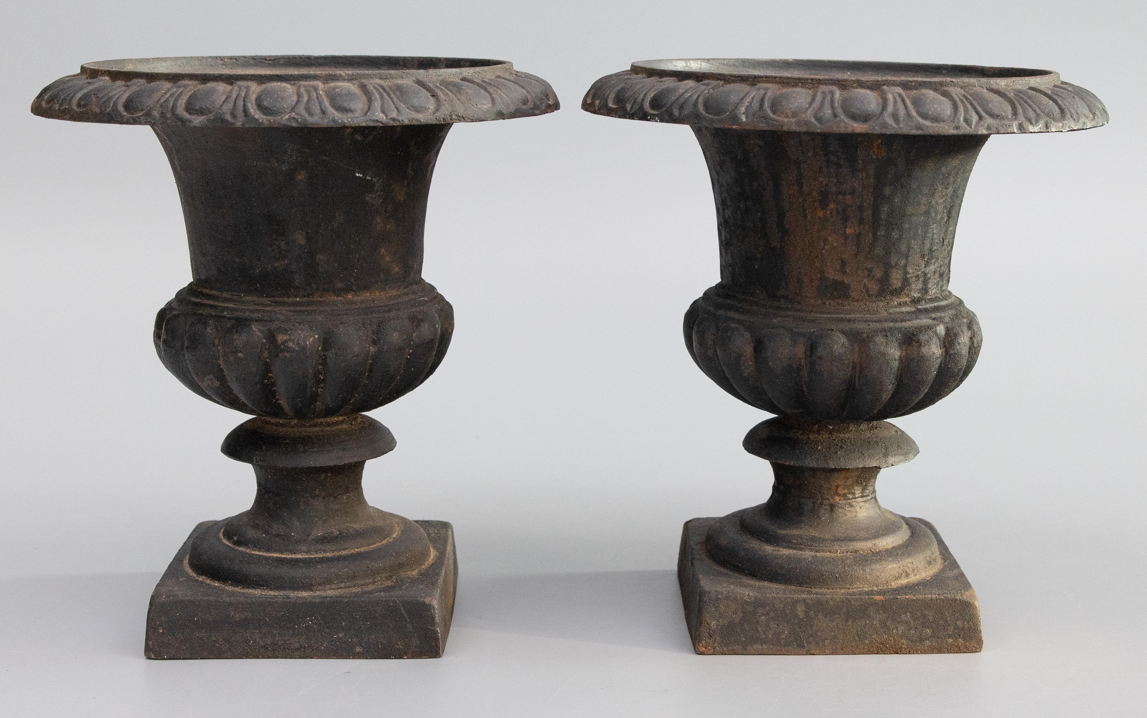 Pair of Early 20th Century French Cast Iron Garden Urns Planters For Sale 6