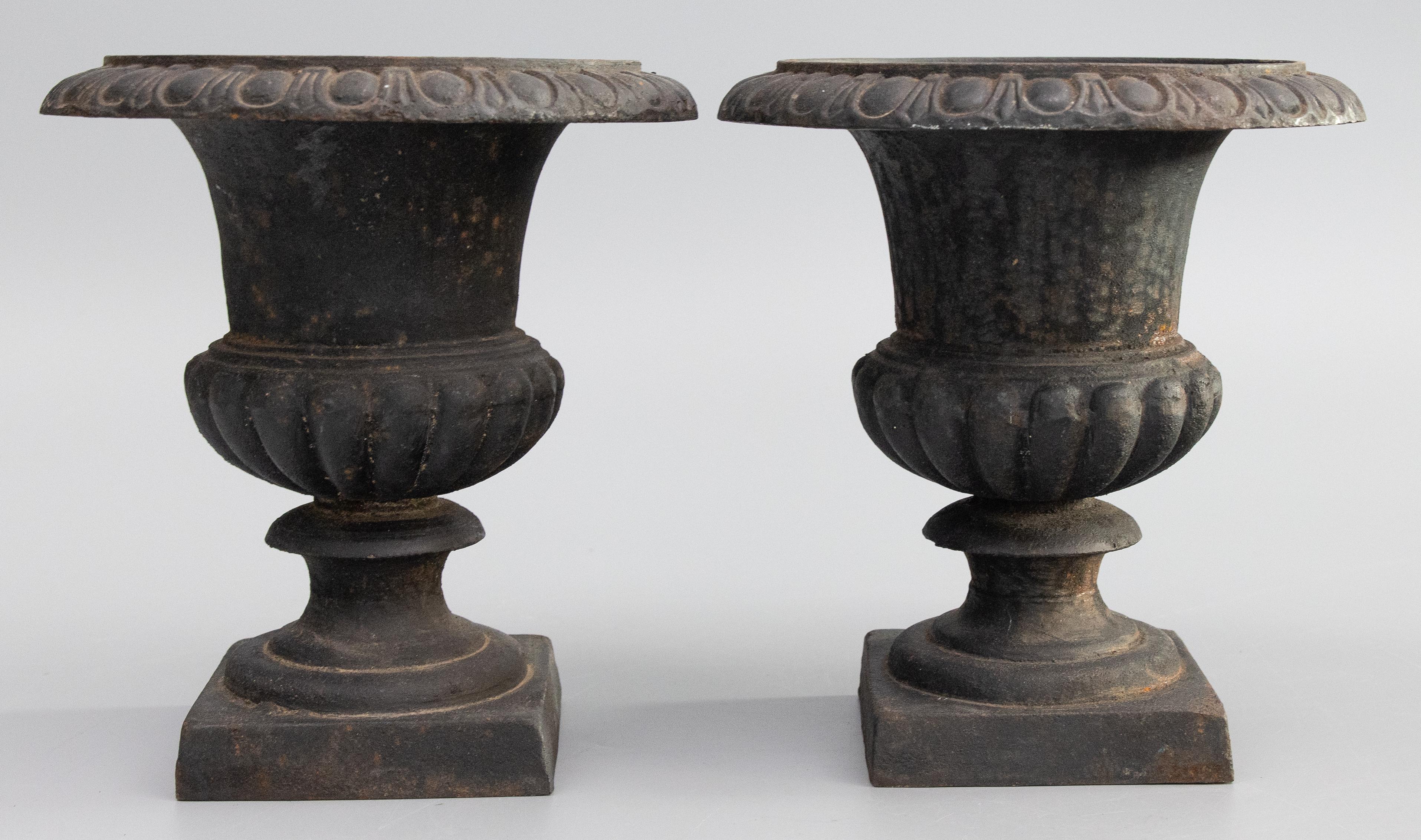 Neoclassical Pair of Early 20th Century French Cast Iron Garden Urns Planters For Sale