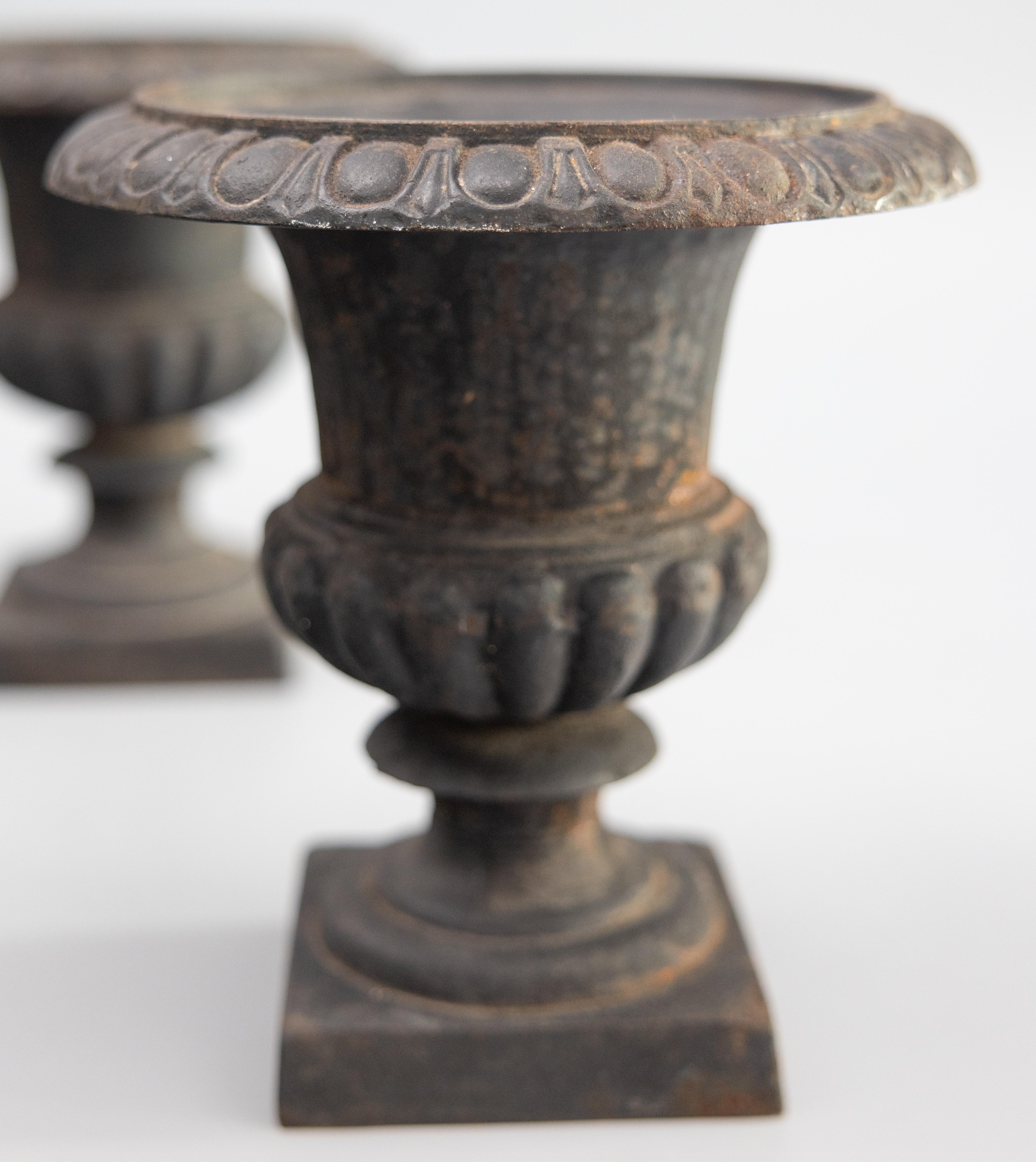 Pair of Early 20th Century French Cast Iron Garden Urns Planters In Good Condition For Sale In Pearland, TX