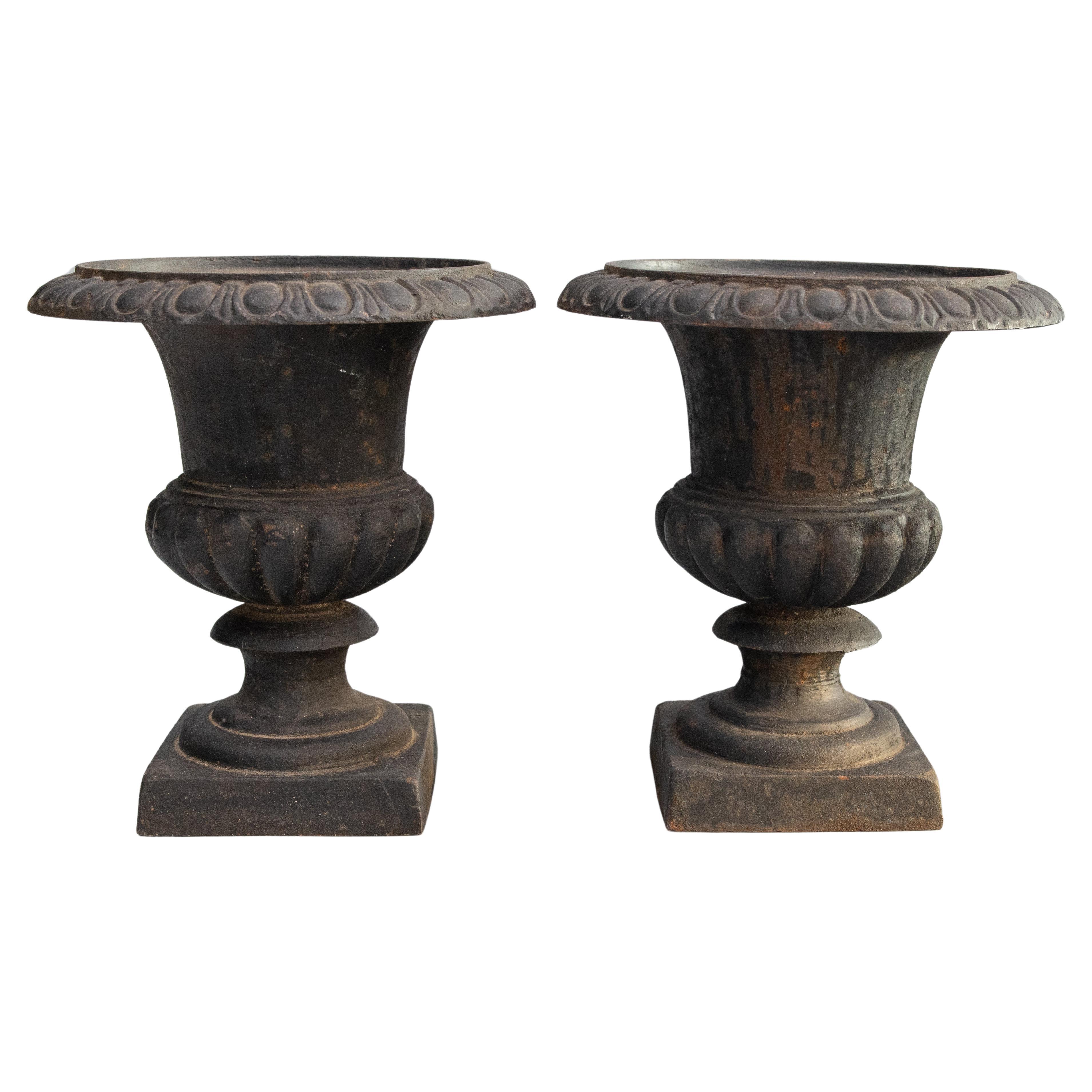 Pair of Early 20th Century French Cast Iron Garden Urns Planters For Sale