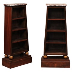 Pair of Early 20th Century French Empire Style Narrow Mahogany Bookcases