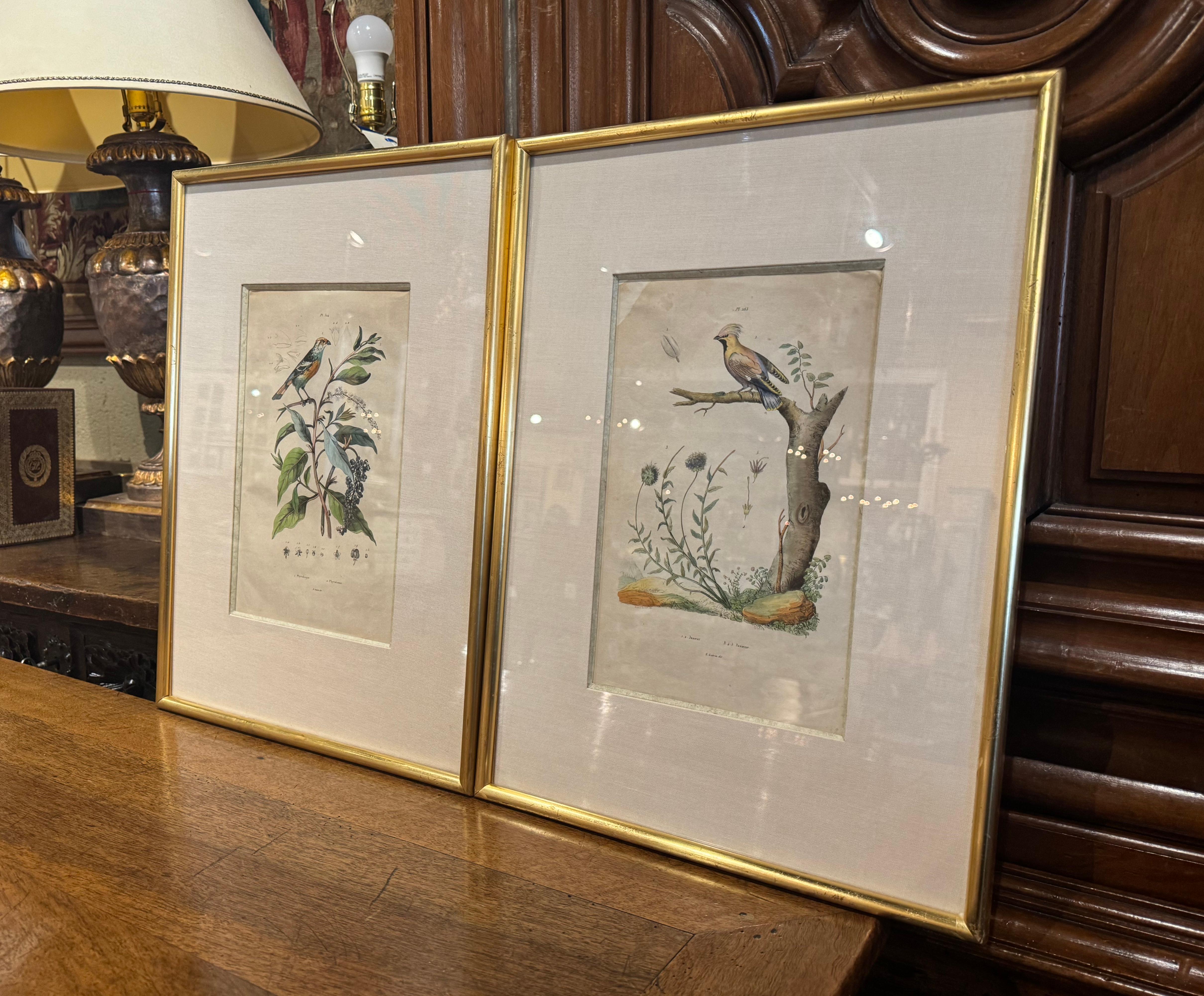 Decorate a office or study with this set of antique lithographs. Hand painted in France circa 1920 by E. Guerin, each print is set in the original gilt wood frame adding a touch of elegance and preserving the artwork. These framed illustrations