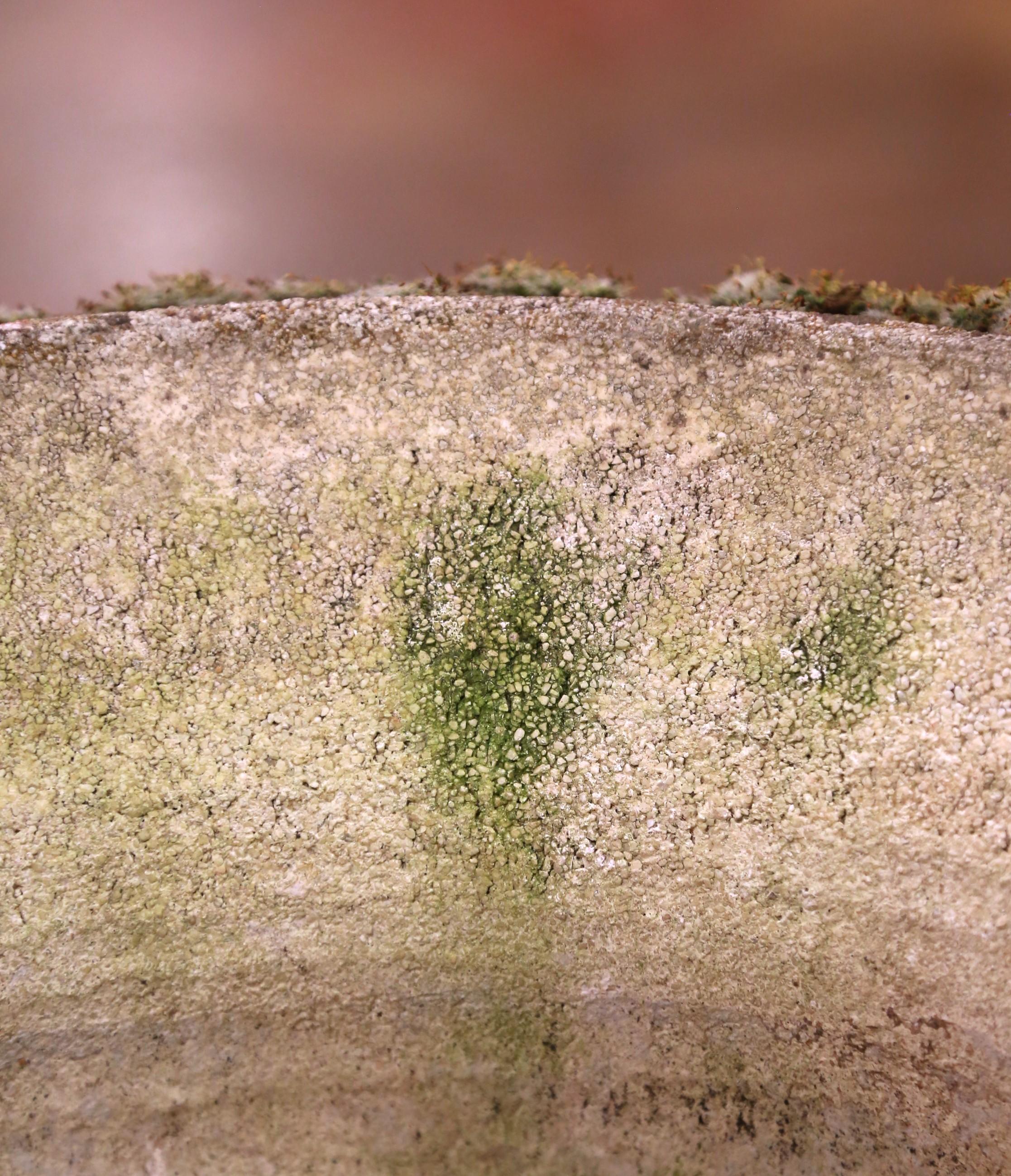 Pair of Early 20th Century French Stone Garden Urns Planters by Grandon Freres For Sale 4